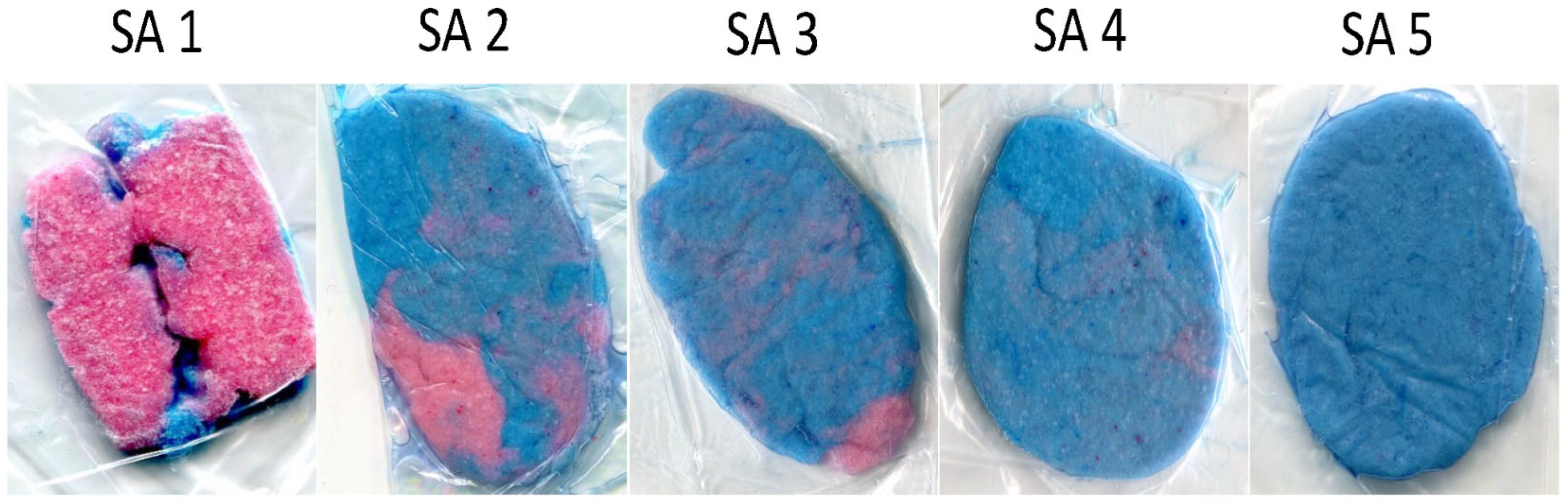 Dentistry 12 00174 g001 Dentistry 12 00174 g001