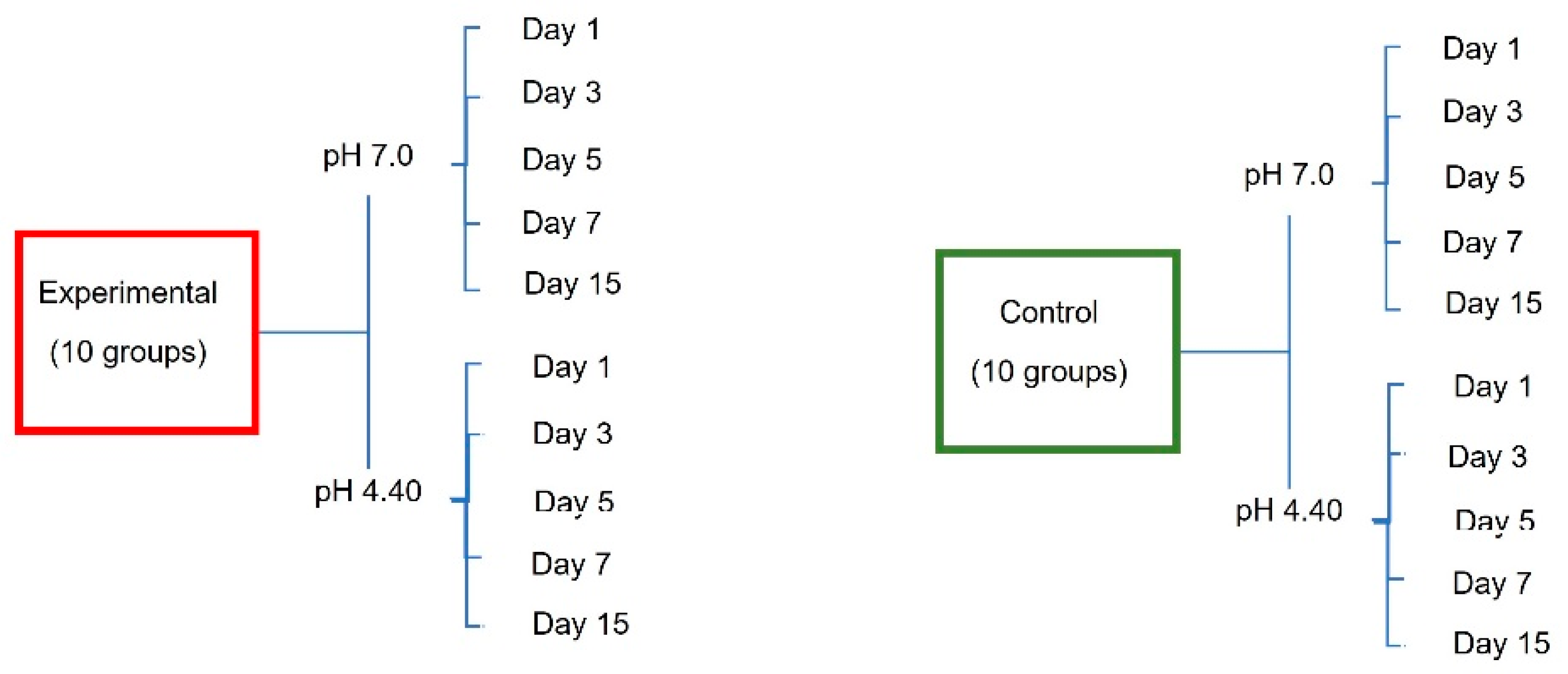 Dentistry 12 00193 g001