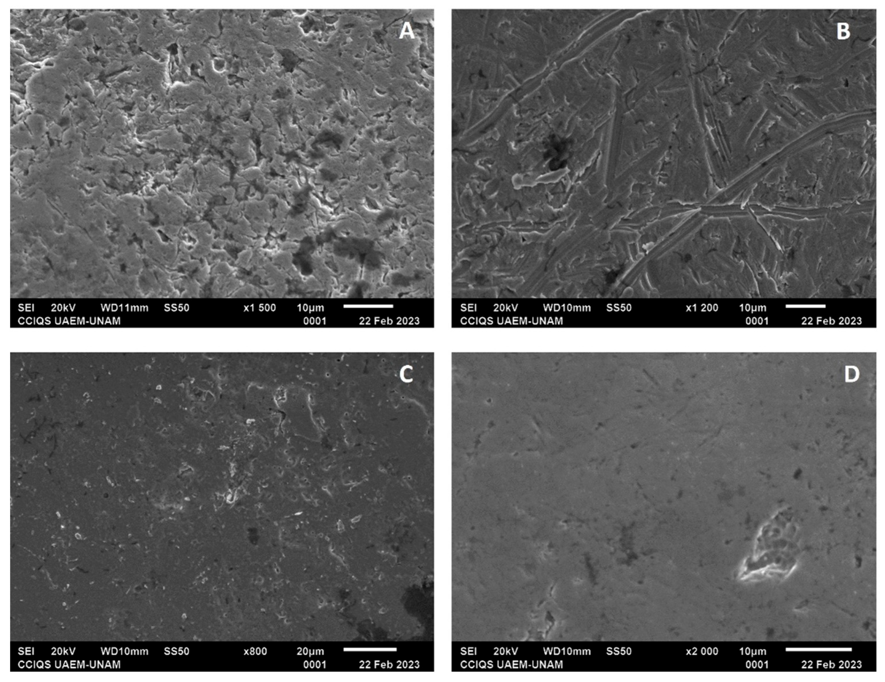 Dentistry 12 00193 g008