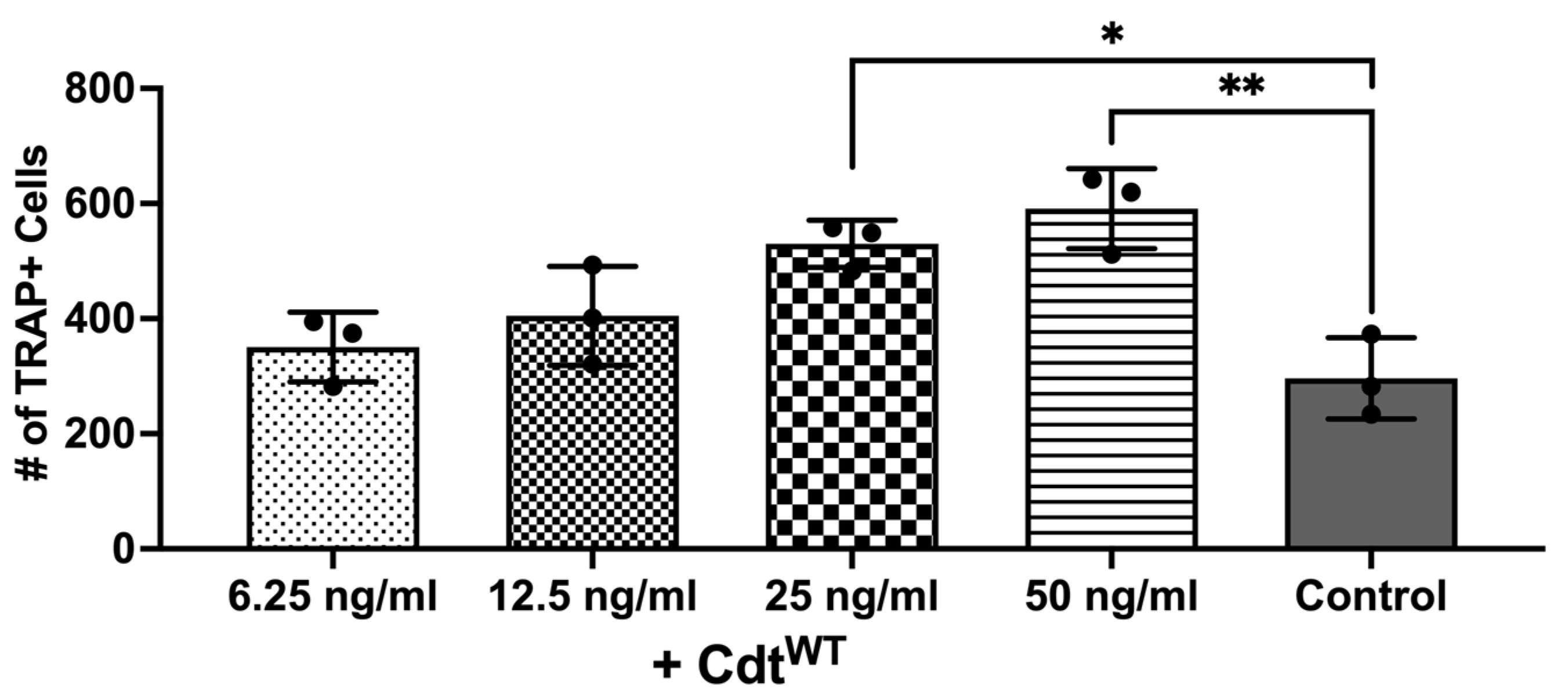 Dentistry 12 00195 g004
