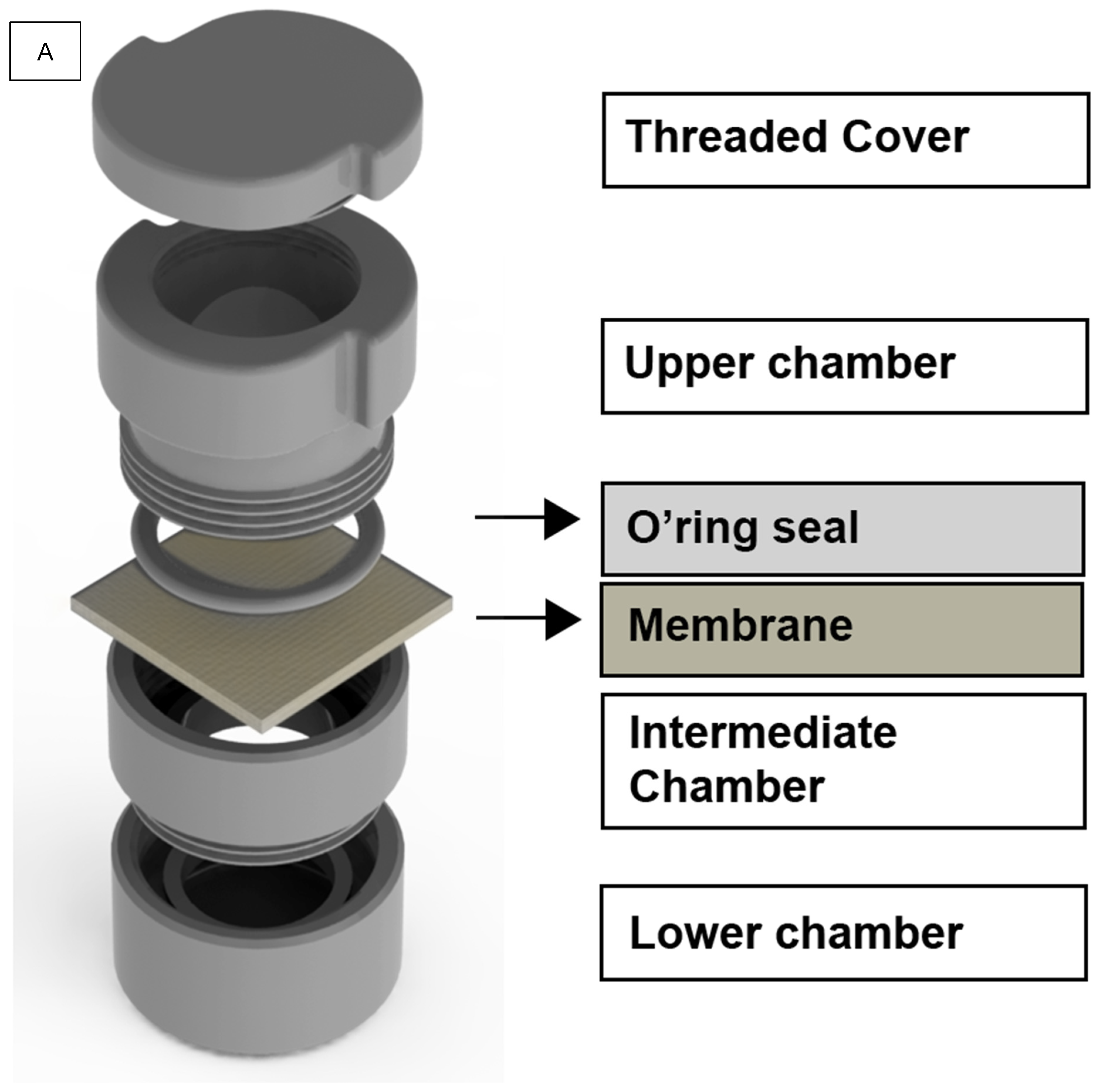 Dentistry 12 00202 g001a