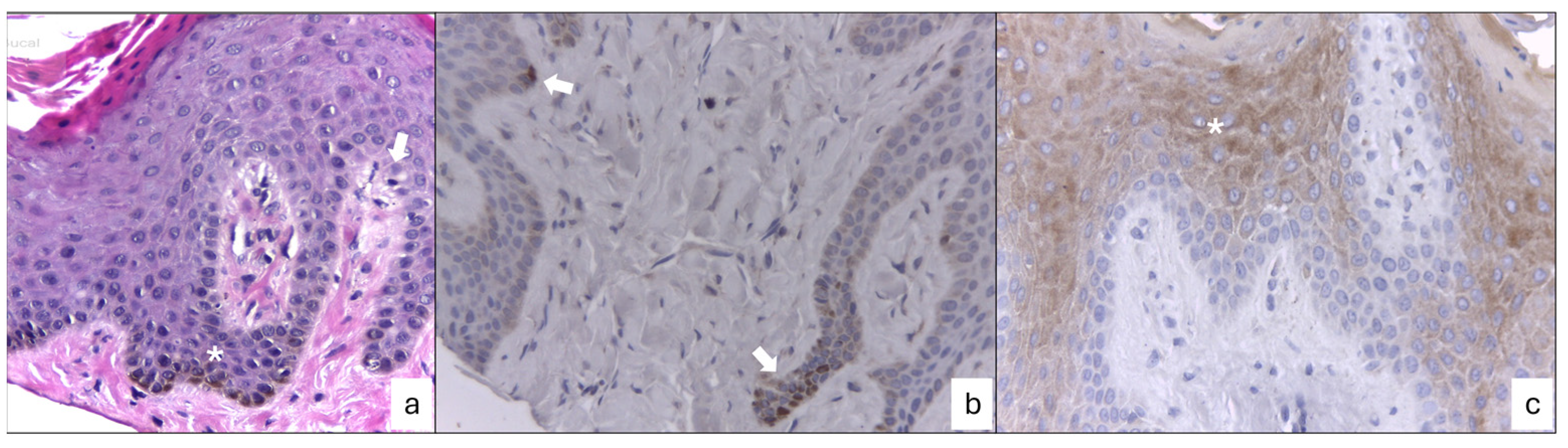 Dentistry 12 00203 g005
