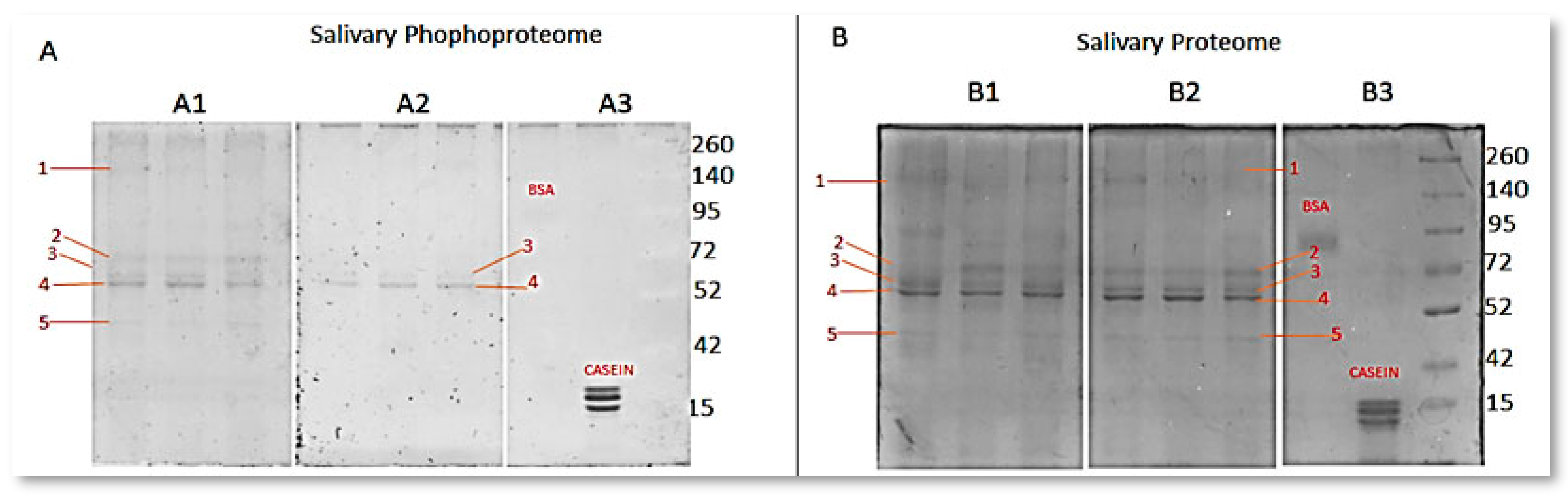 Dentistry 12 00208 g002 Dentistry 12 00208 g002