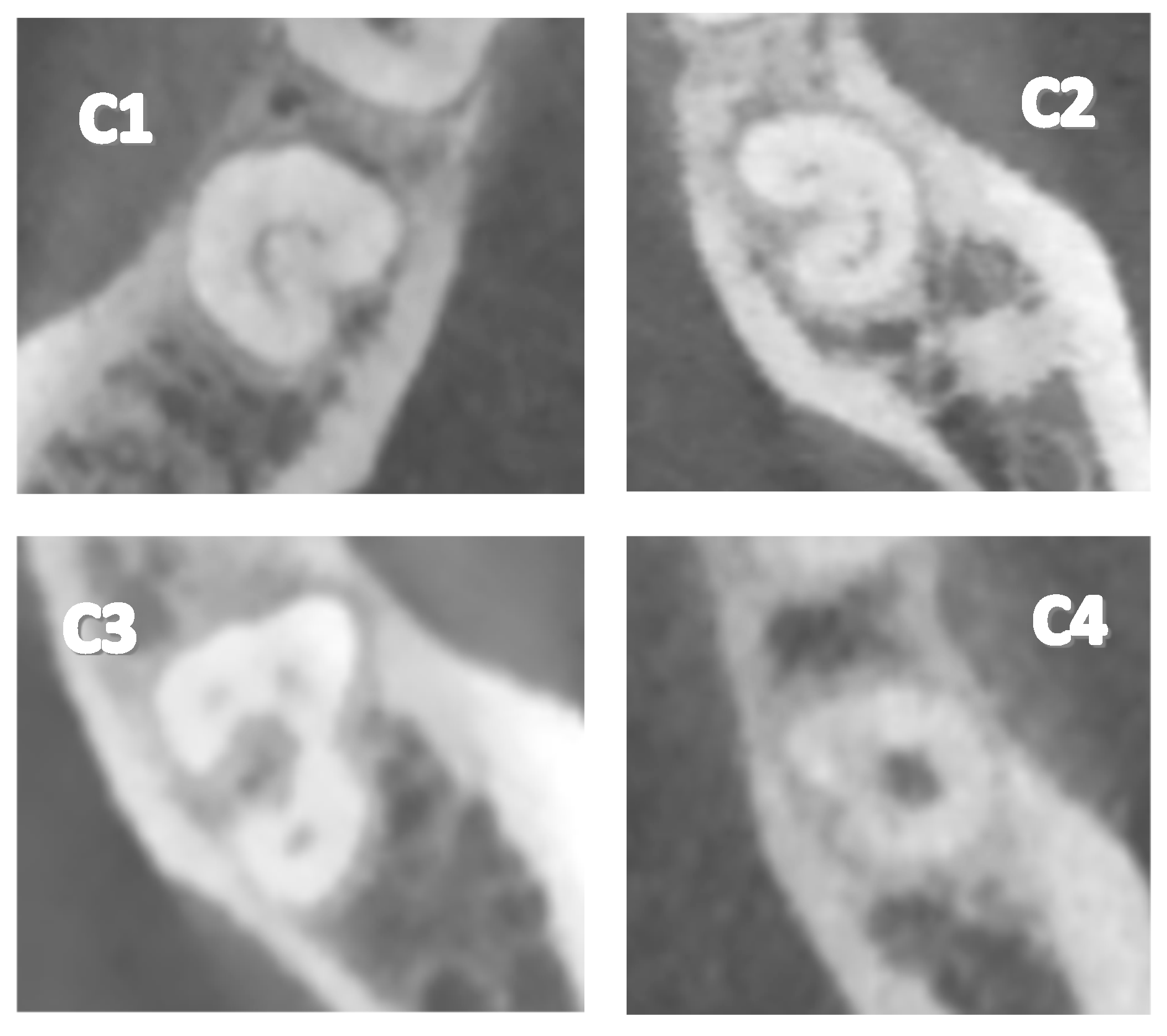 Dentistry 12 00212 g002
