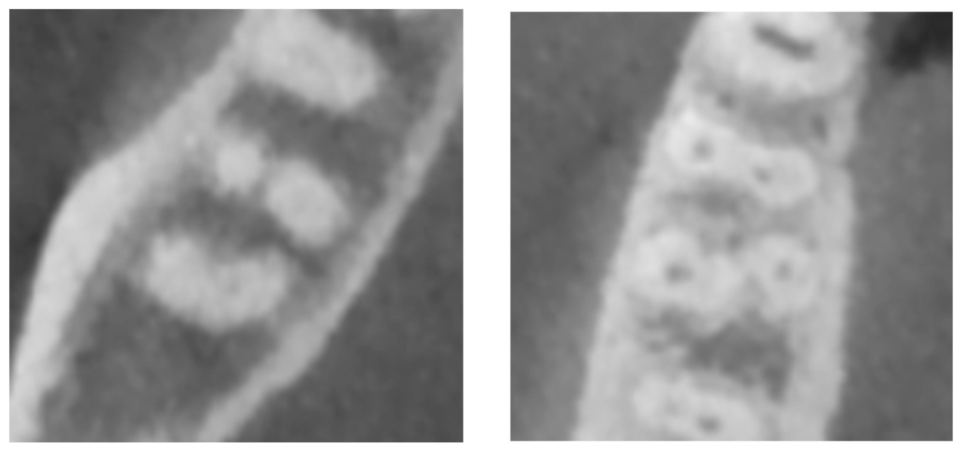 Dentistry 12 00212 g003