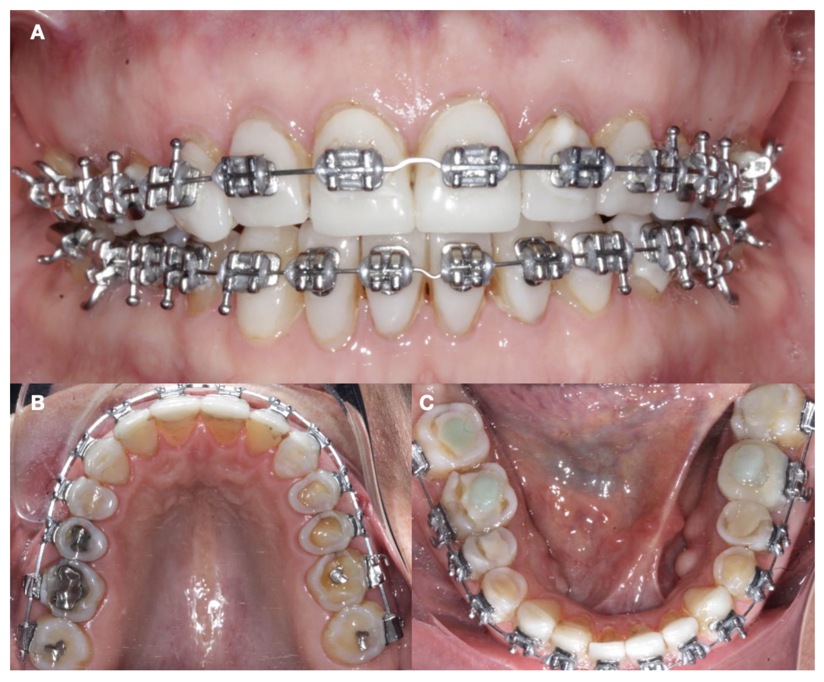 Dentistry 12 00218 g002