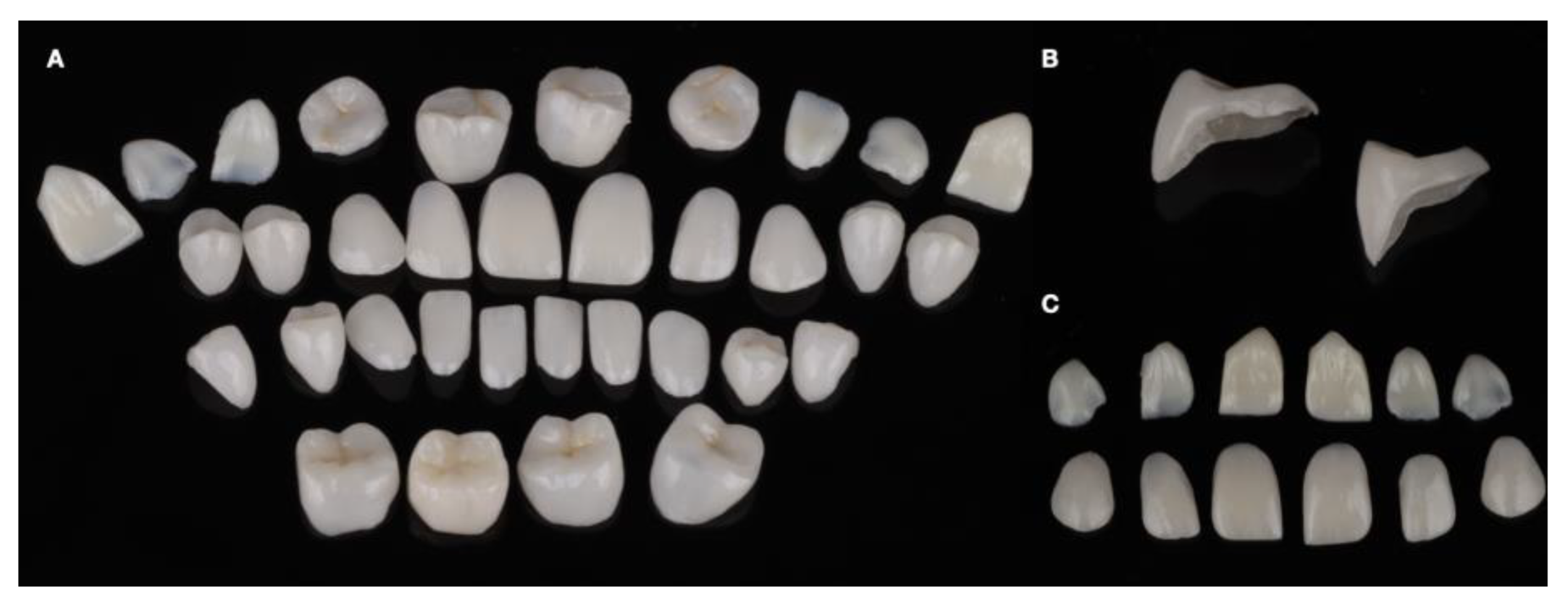 Dentistry 12 00218 g012