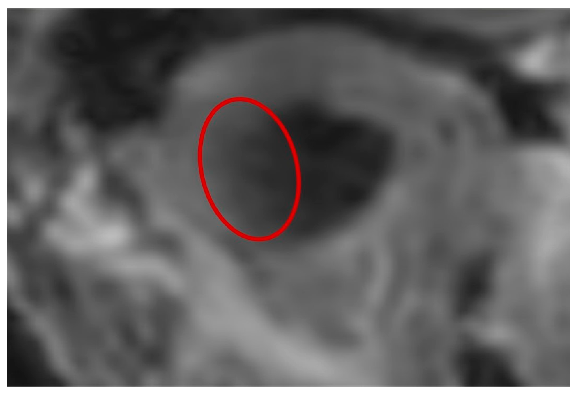 Dentistry 12 00220 g009