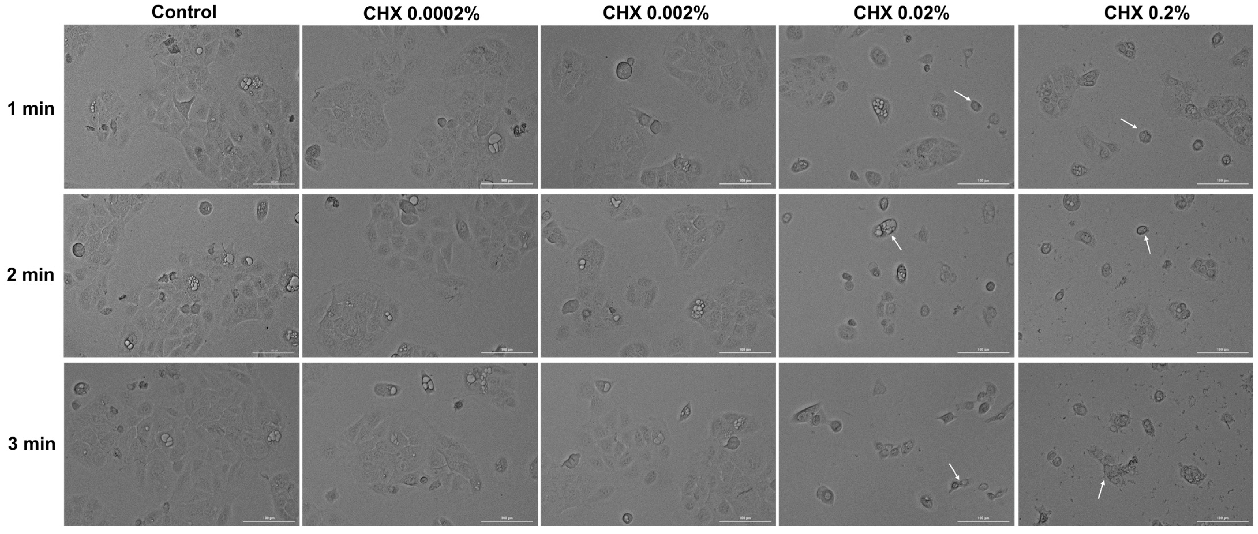 Dentistry 12 00221 g006 Dentistry 12 00221 g006