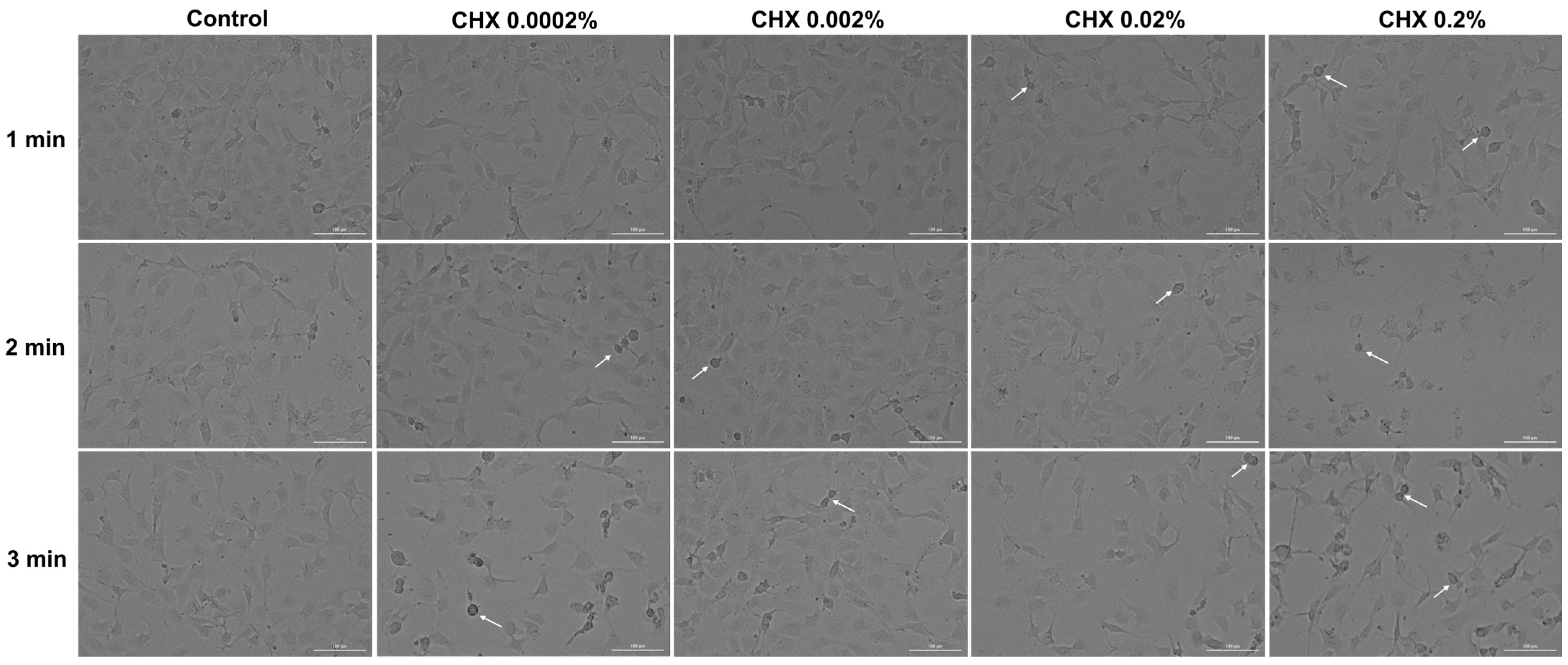 Dentistry 12 00221 g007 Dentistry 12 00221 g007