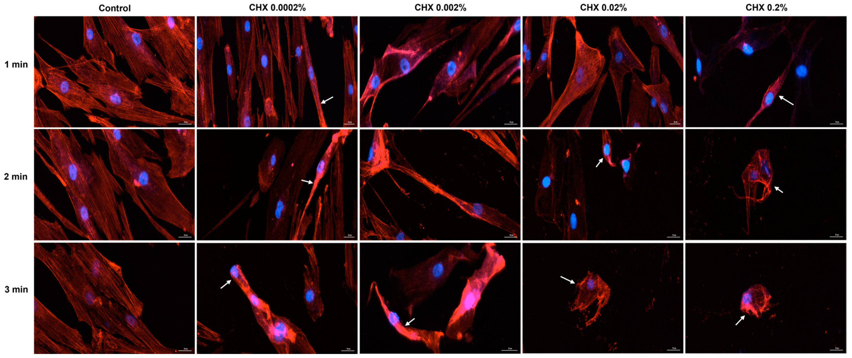 Dentistry 12 00221 g008 Dentistry 12 00221 g008