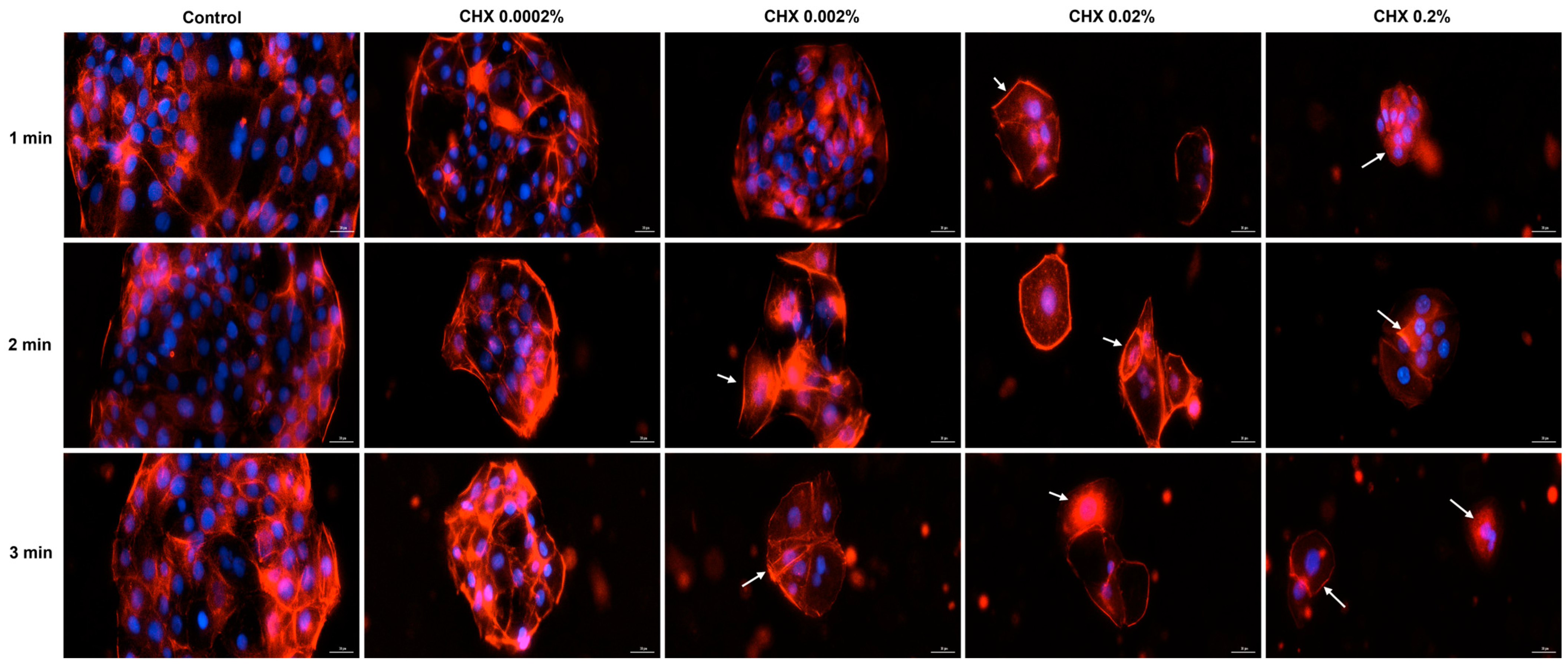 Dentistry 12 00221 g009 Dentistry 12 00221 g009