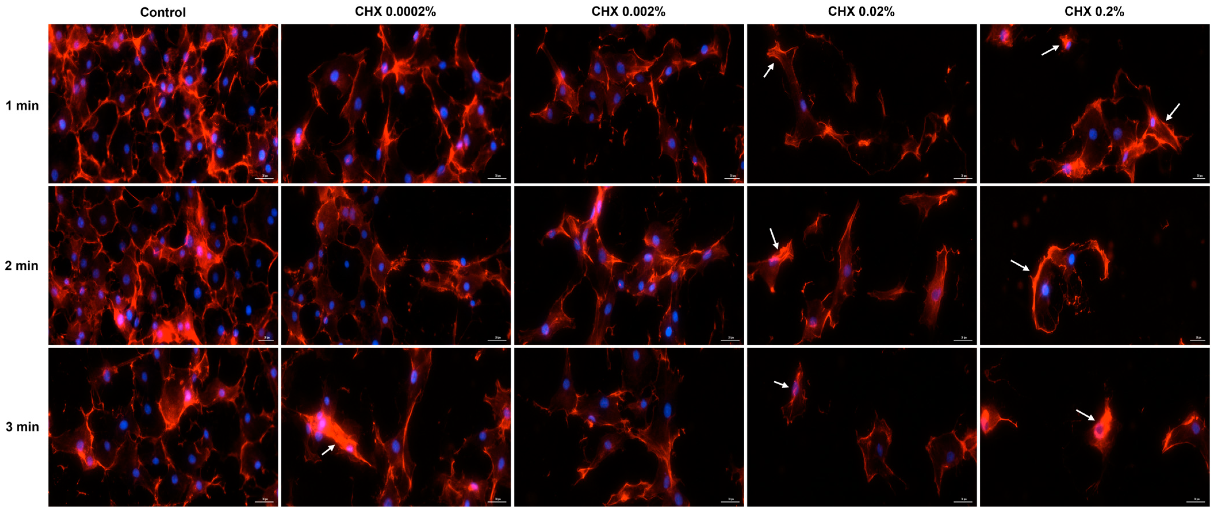 Dentistry 12 00221 g010 Dentistry 12 00221 g010