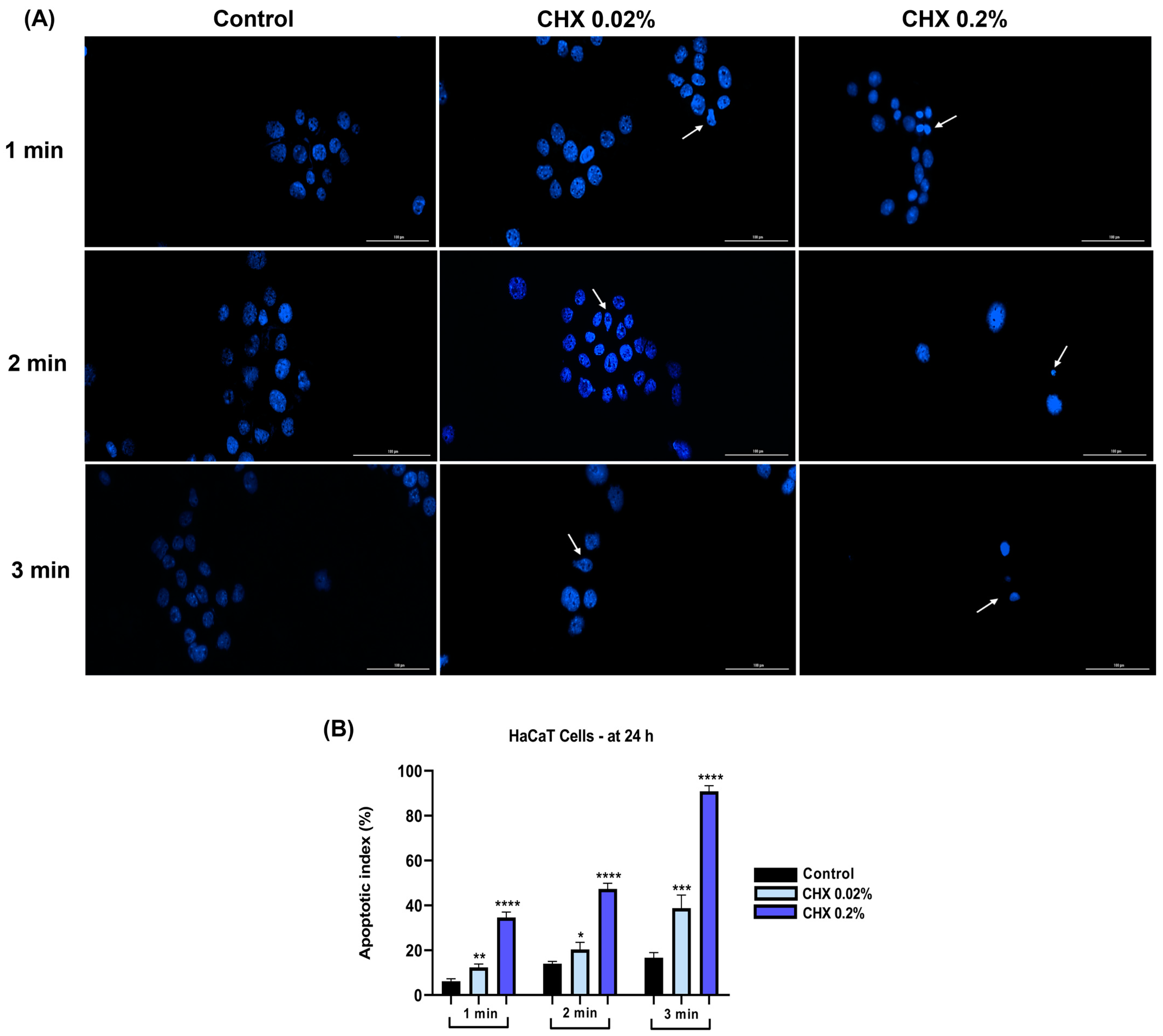 Dentistry 12 00221 g012 Dentistry 12 00221 g012