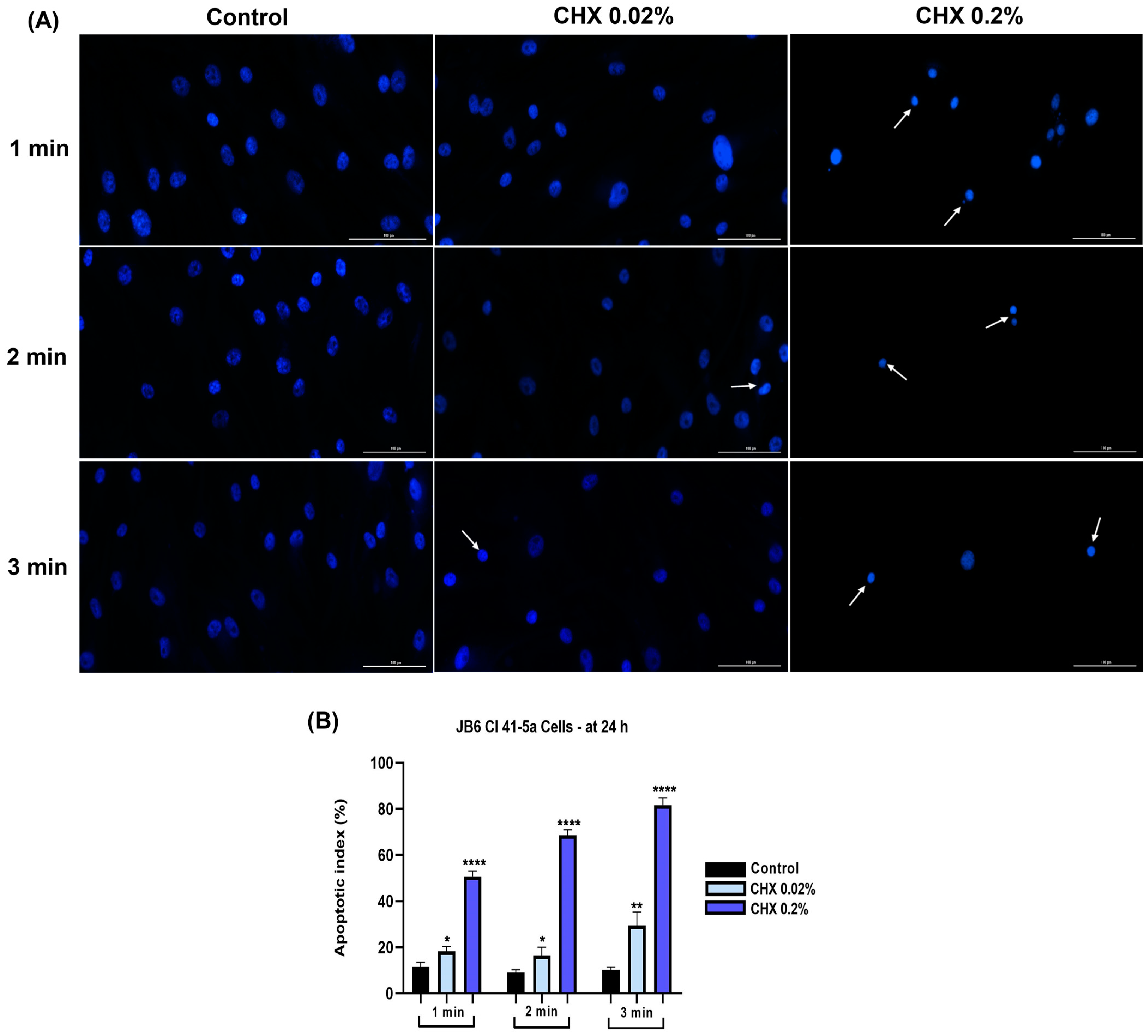 Dentistry 12 00221 g013 Dentistry 12 00221 g013