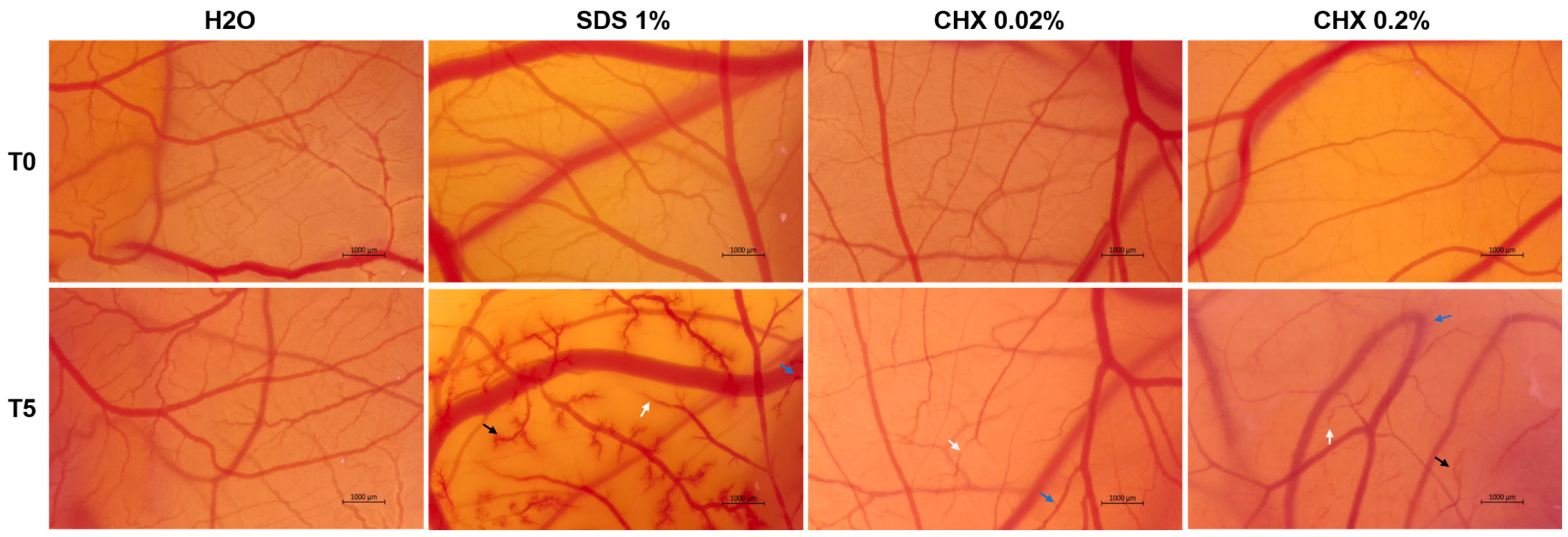 Dentistry 12 00221 g014 Dentistry 12 00221 g014