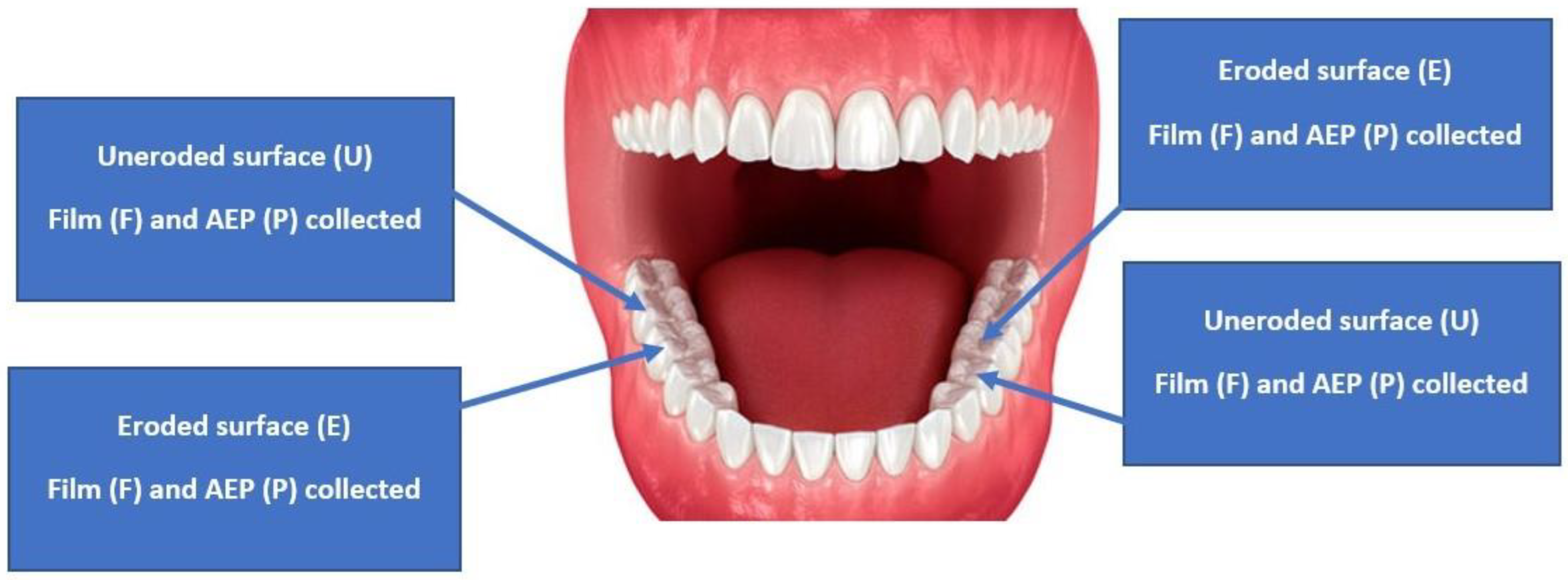 Dentistry 12 00235 g002