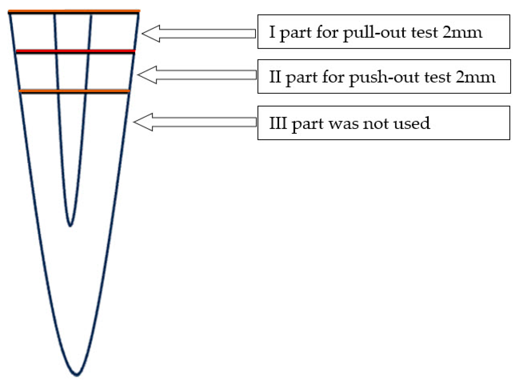 Dentistry 12 00237 g001