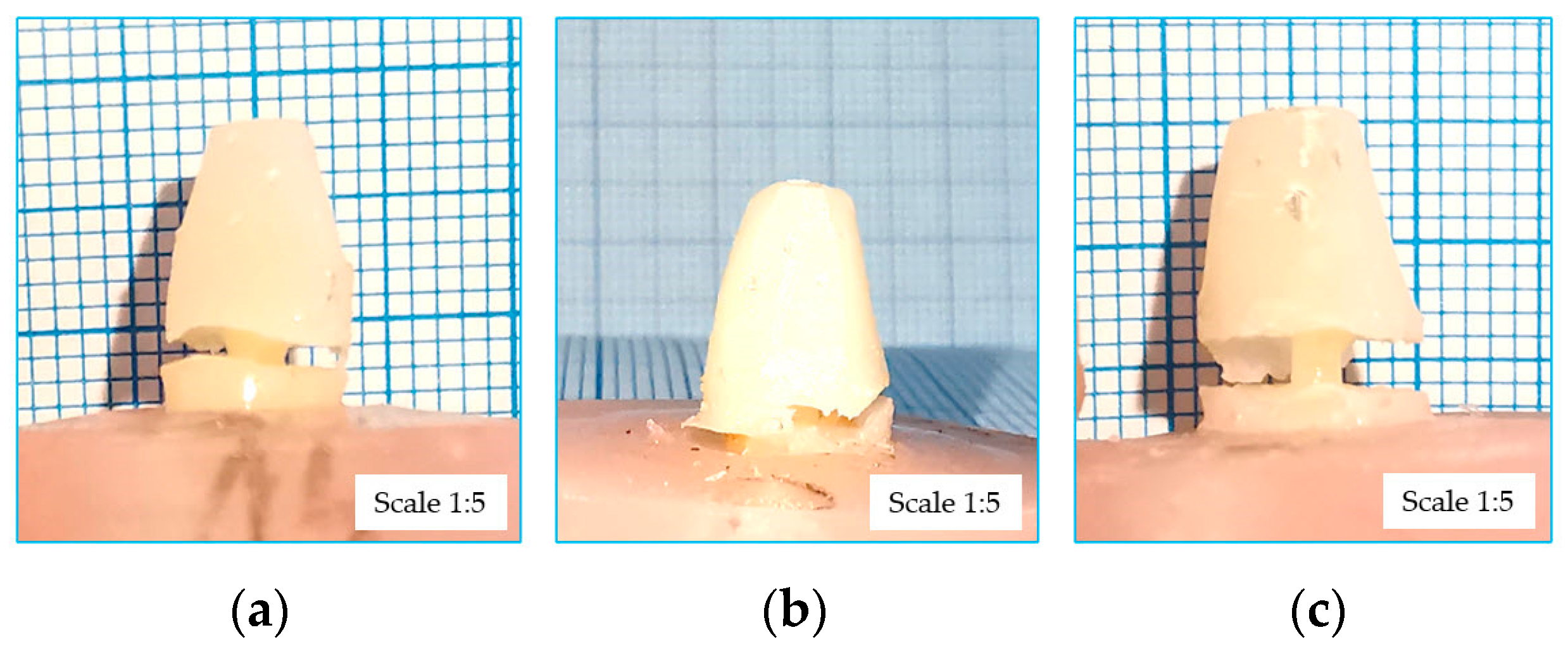 Dentistry 12 00237 g005