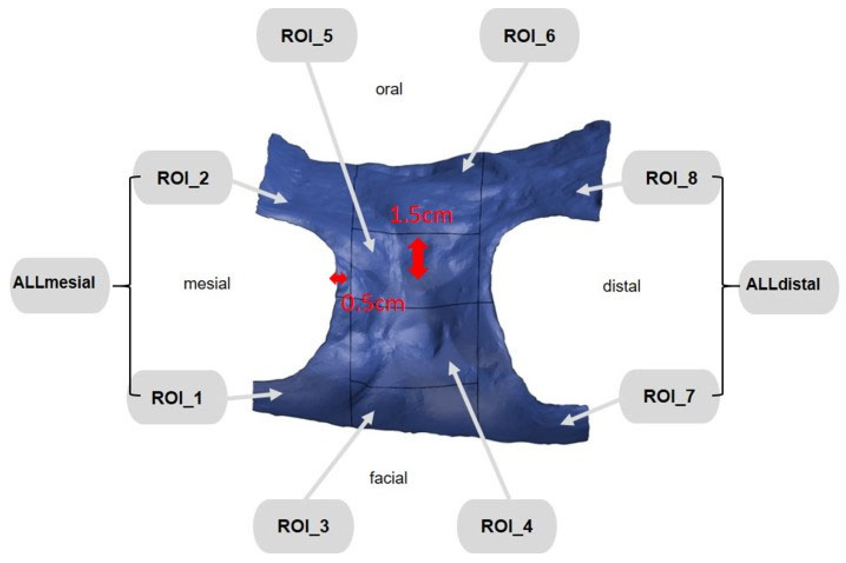 Dentistry 12 00252 g006