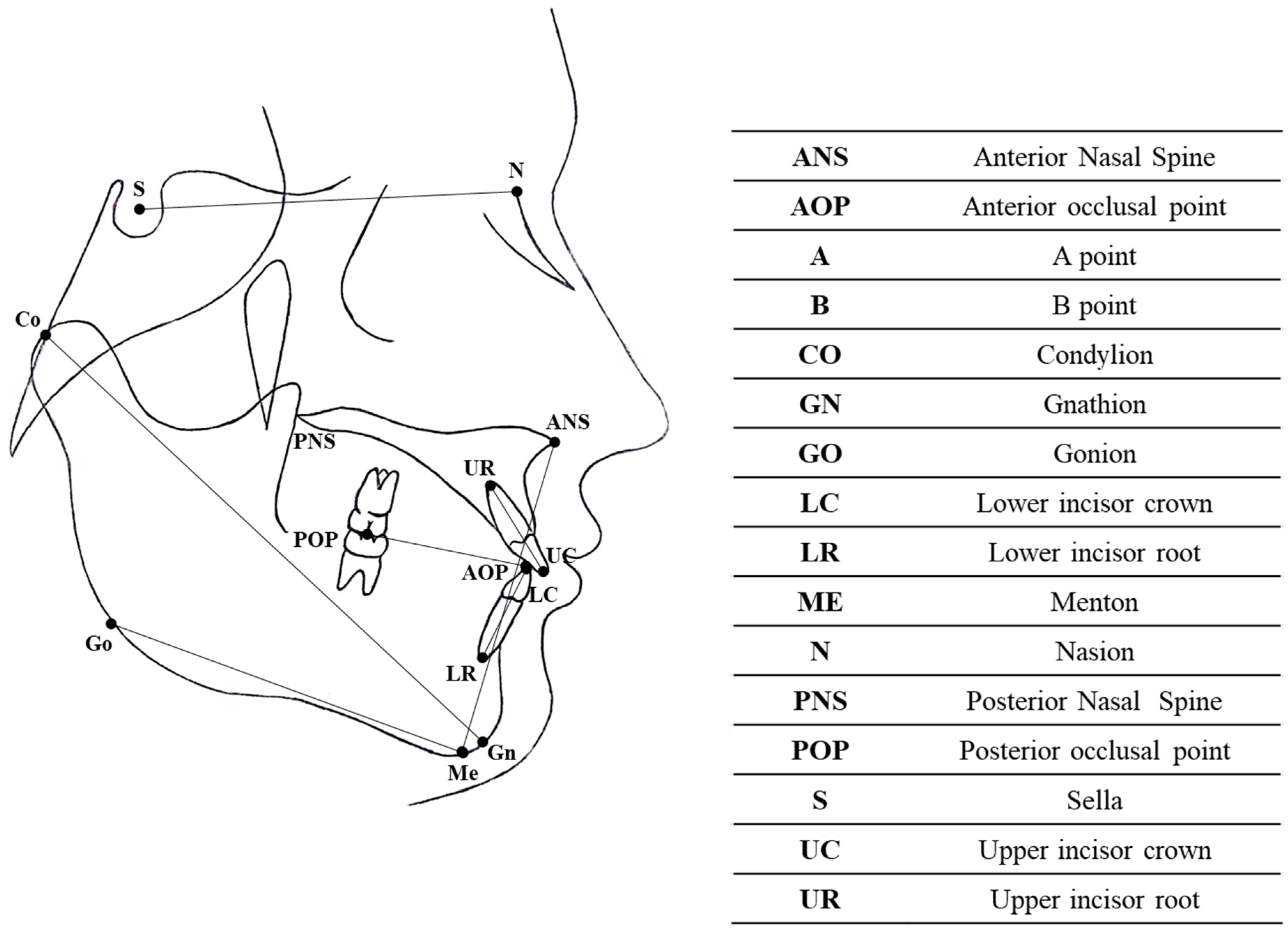 Dentistry 12 00254 g002