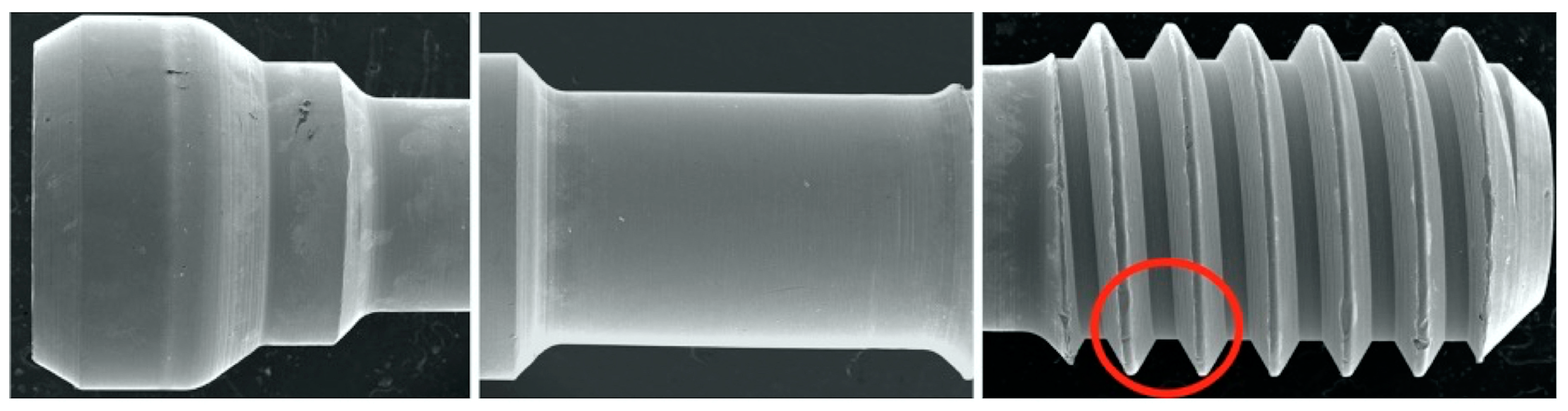 Dentistry 12 00265 g002