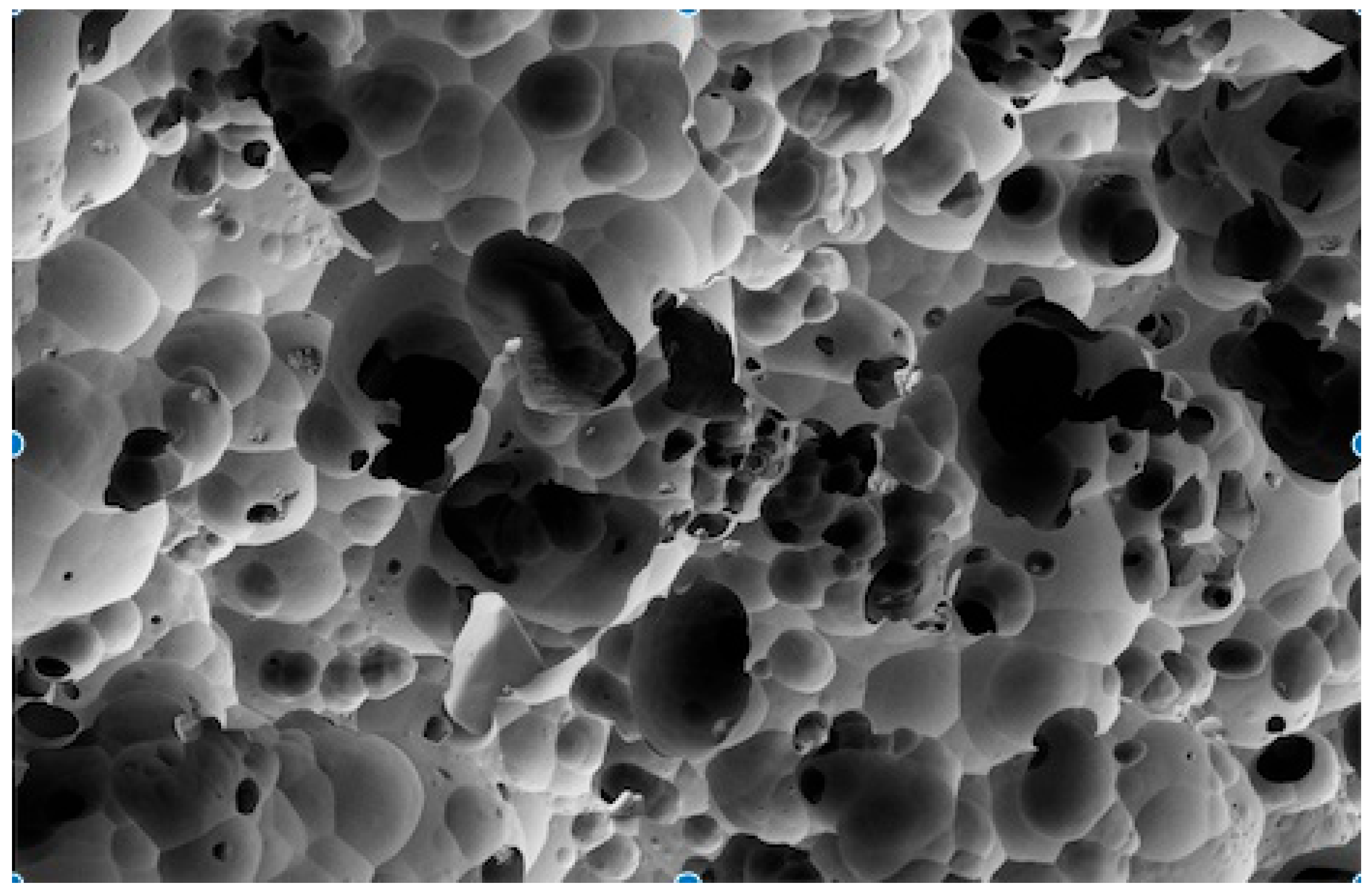 Dentistry 12 00281 g001