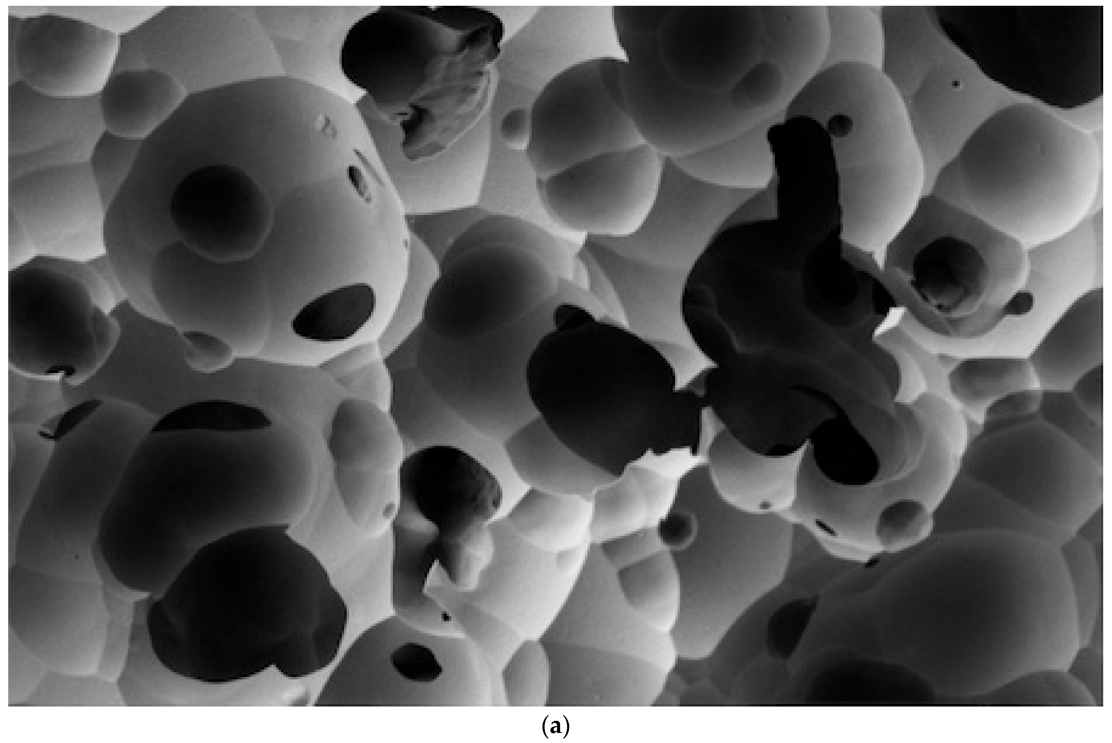 Dentistry 12 00281 g004a