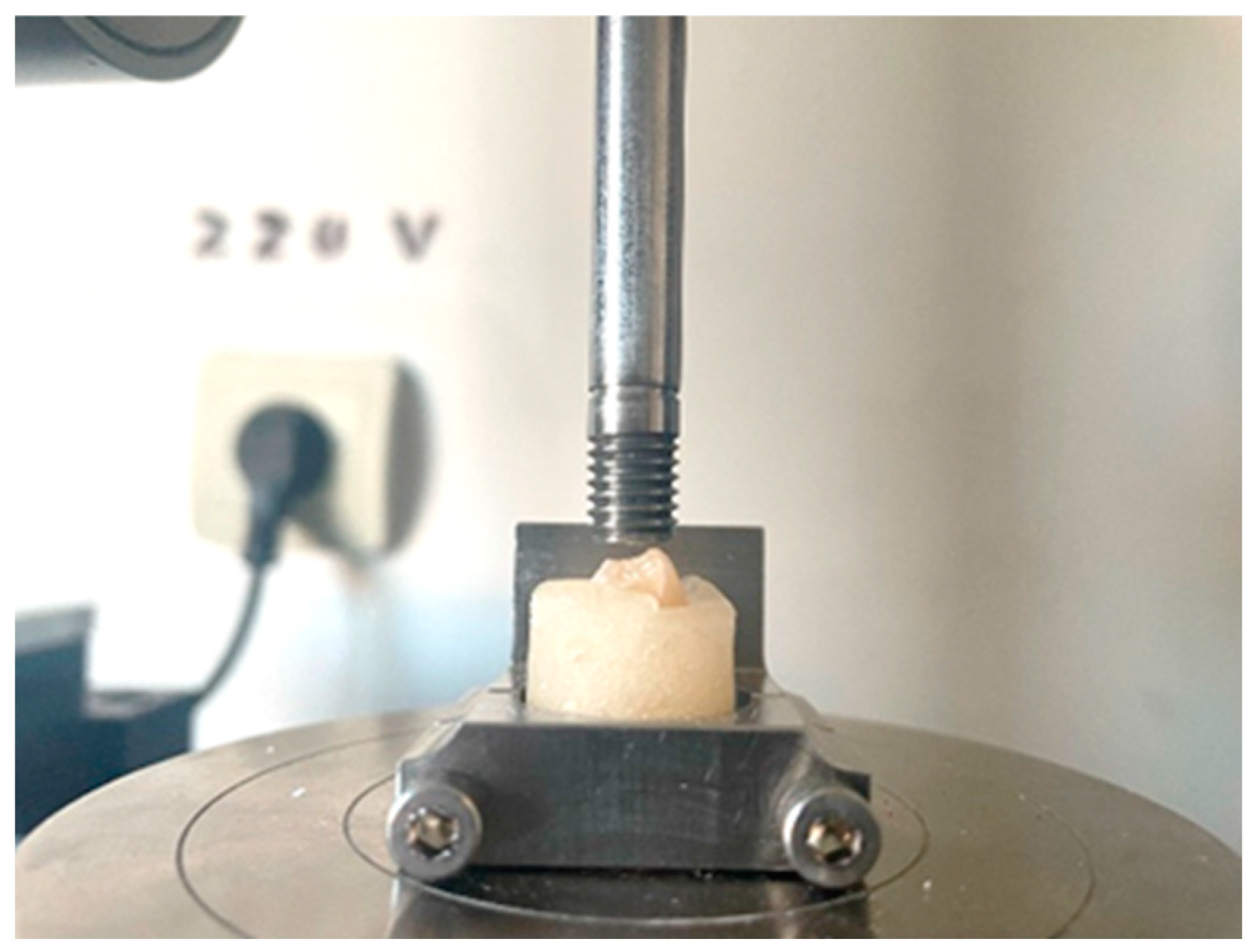 Dentistry 12 00294 g001