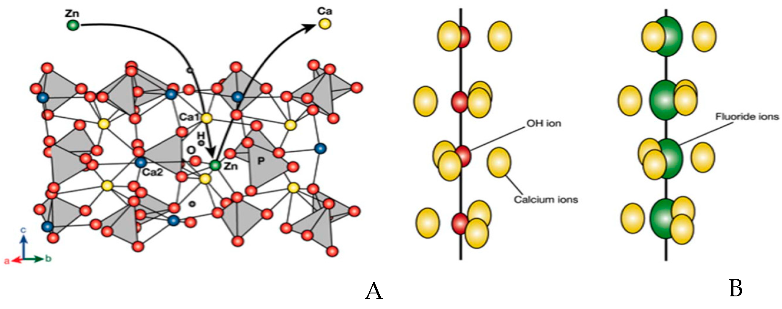 Dentistry 12 00304 g003 Dentistry 12 00304 g003