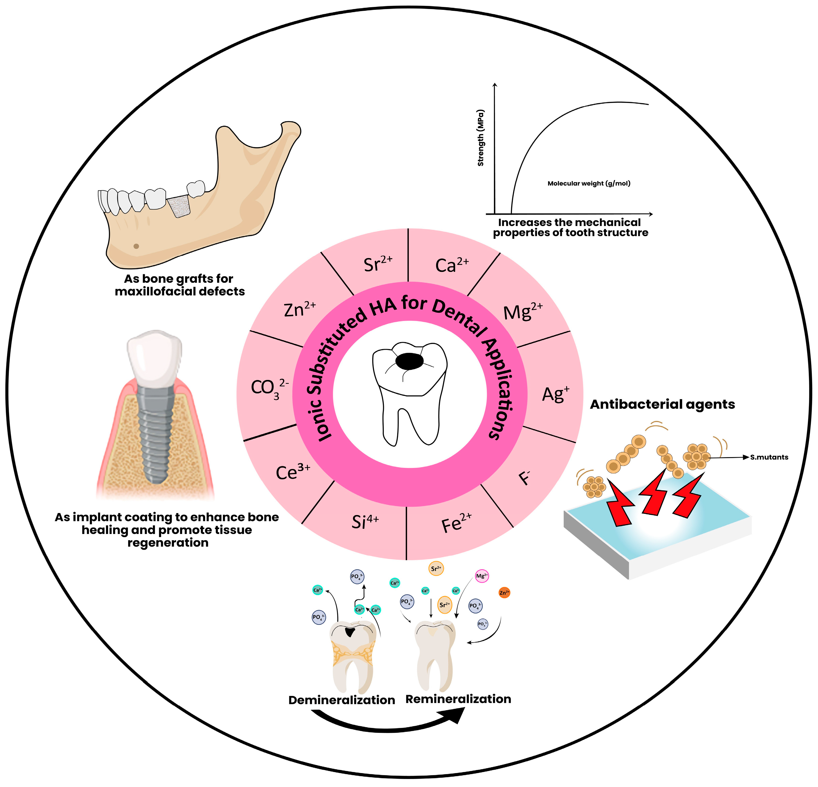 Dentistry 12 00304 g004 Dentistry 12 00304 g004