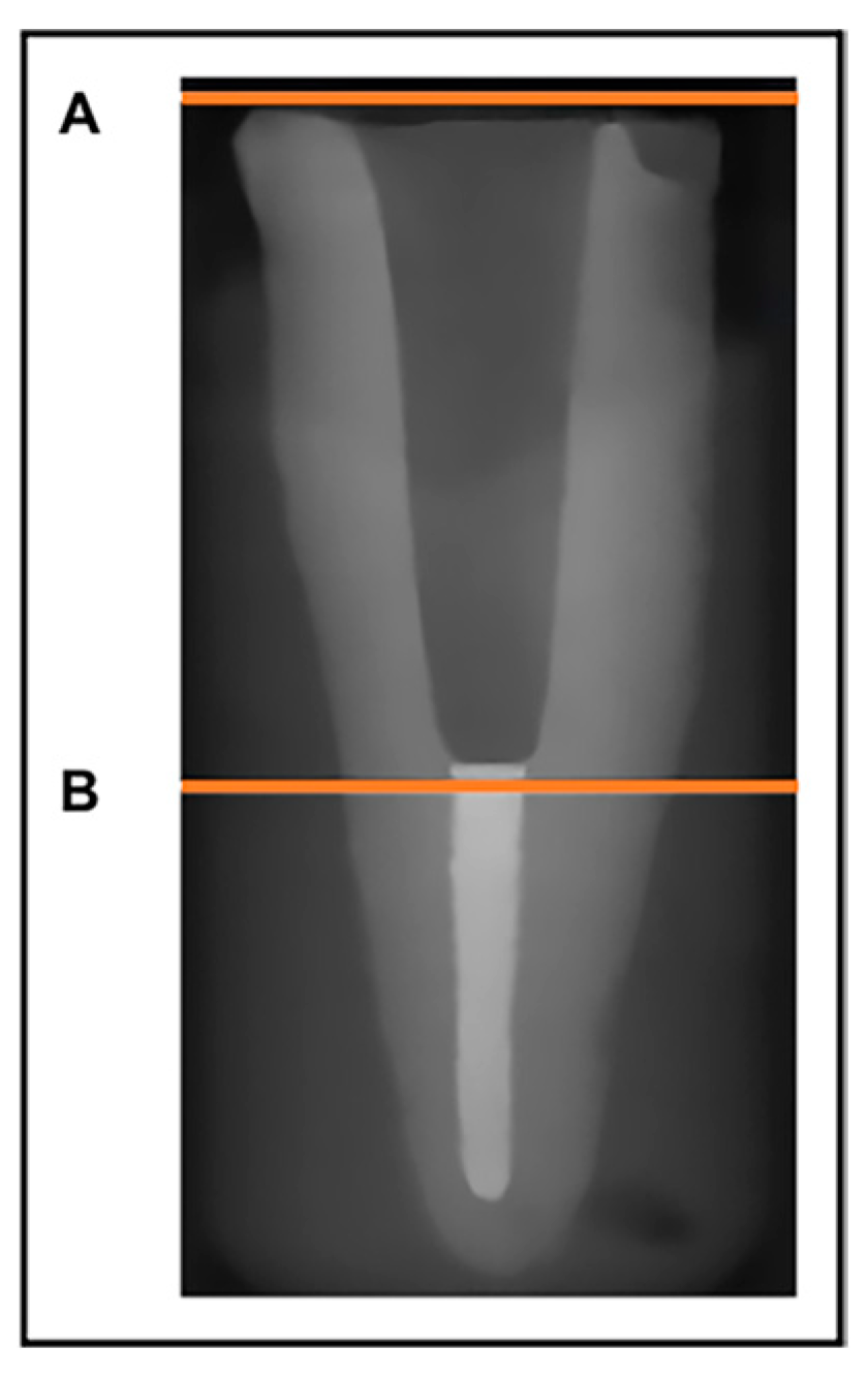 Dentistry 12 00309 g003