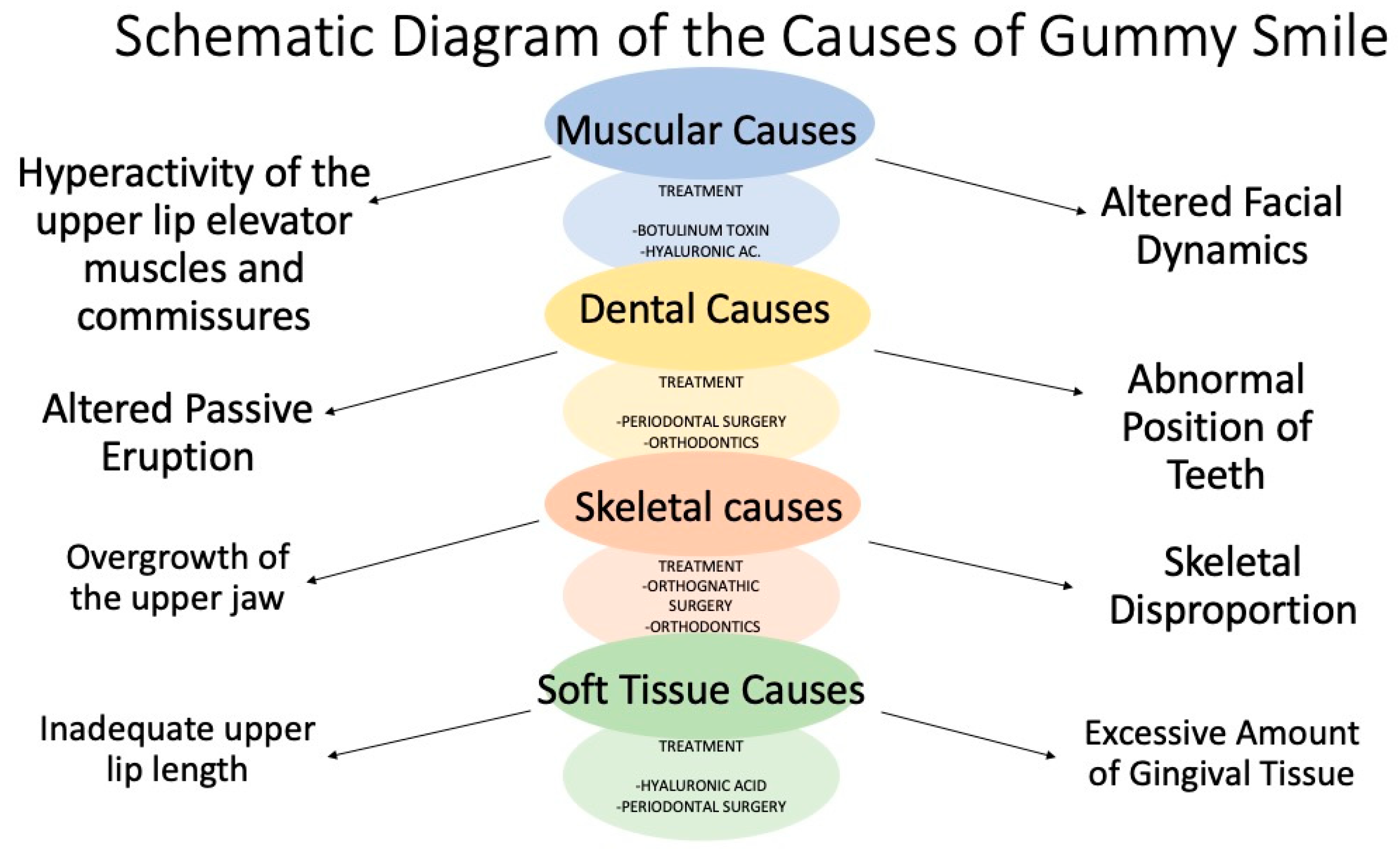 Dentistry 12 00319 g001
