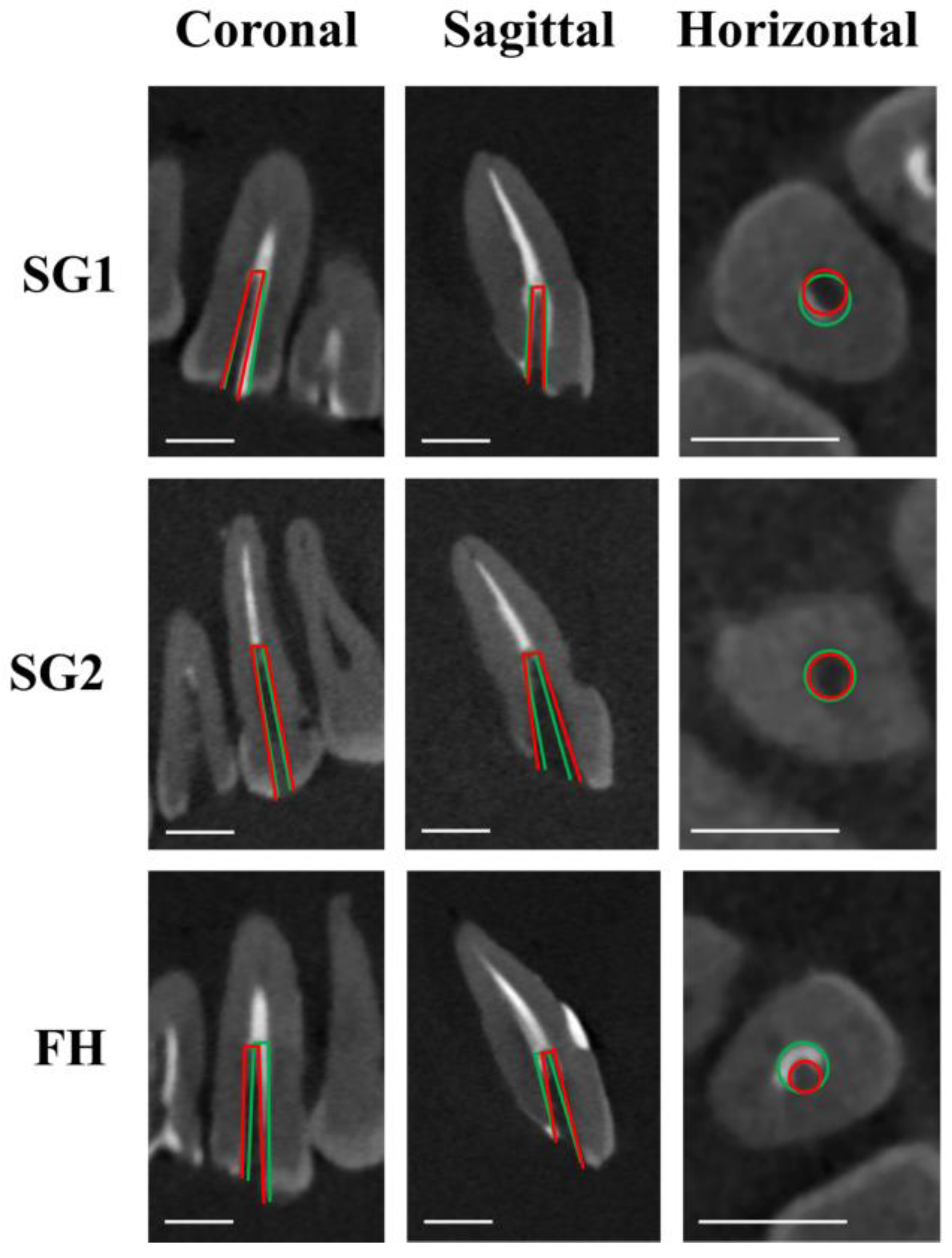 Dentistry 12 00333 g005