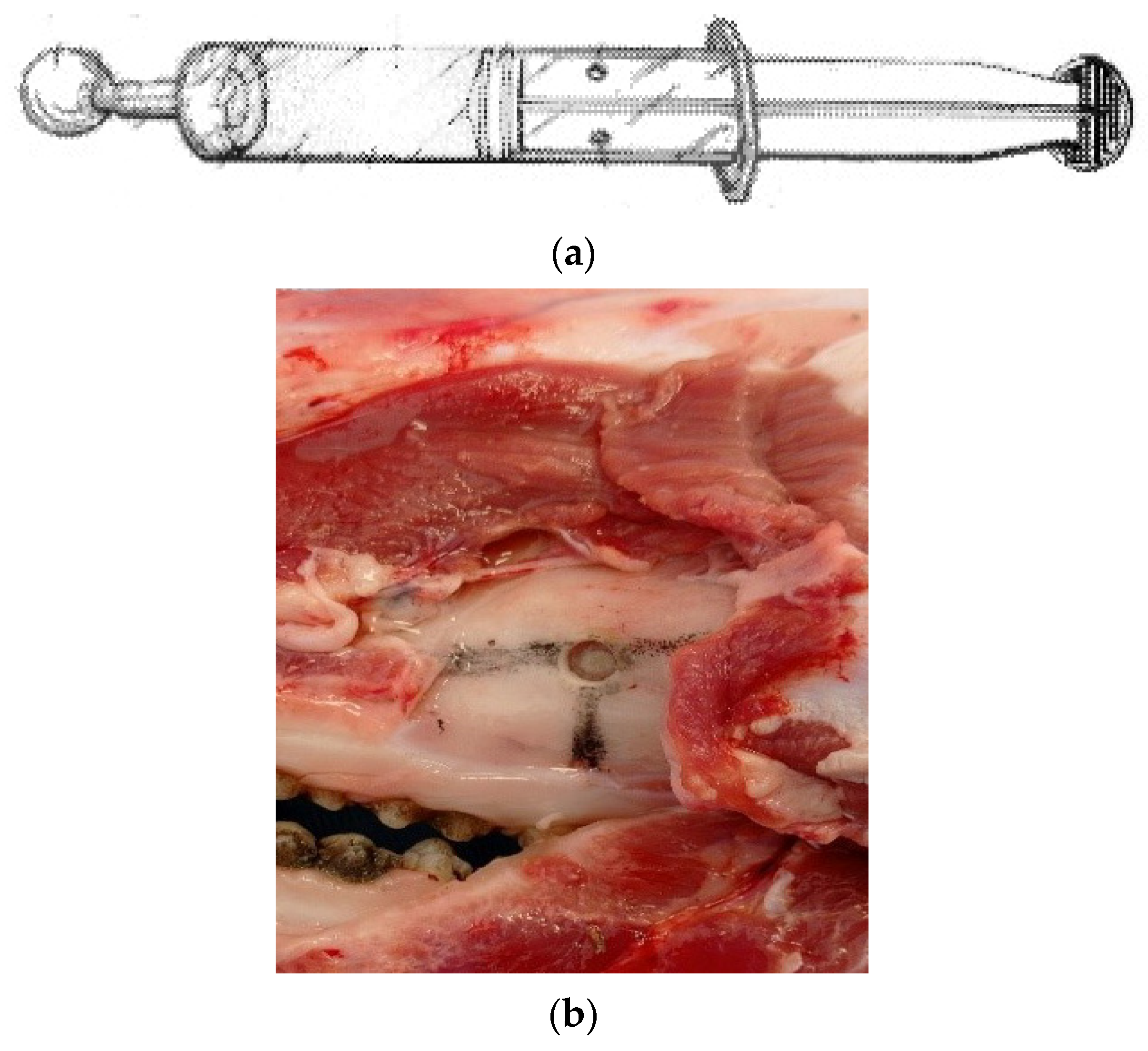 Dentistry 12 00337 g001a