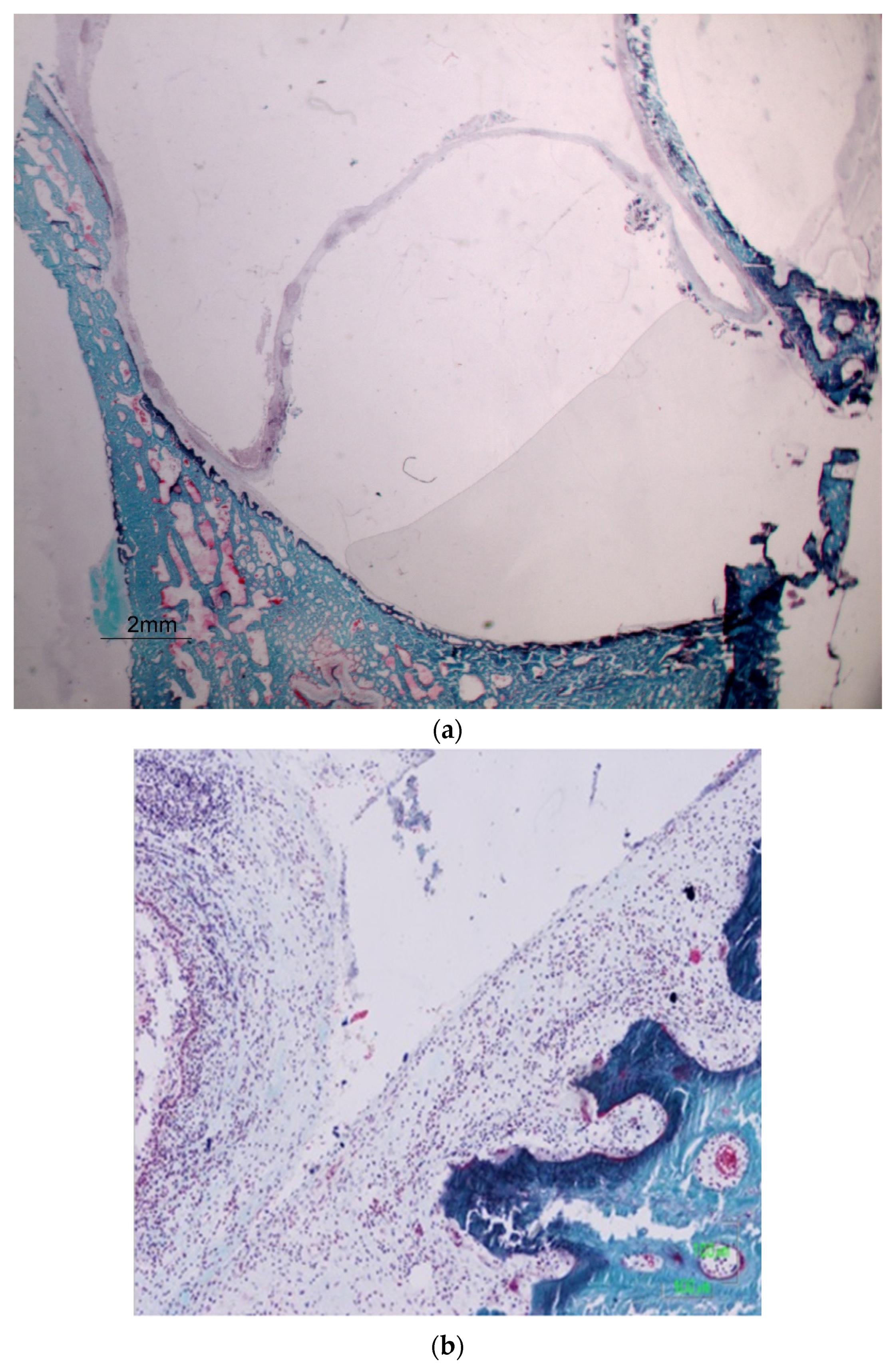 Dentistry 12 00337 g003a