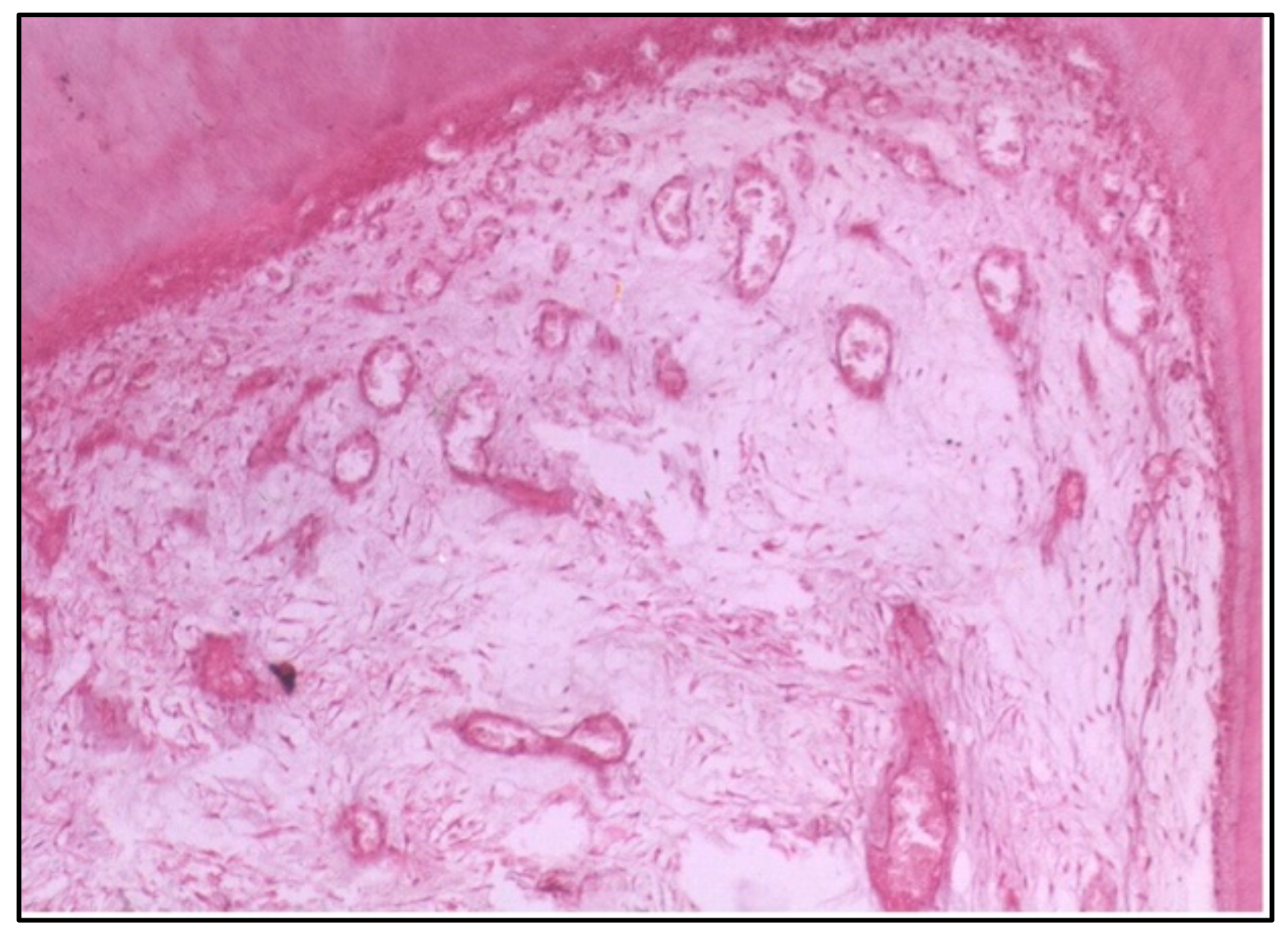 Dentistry 12 00343 g001