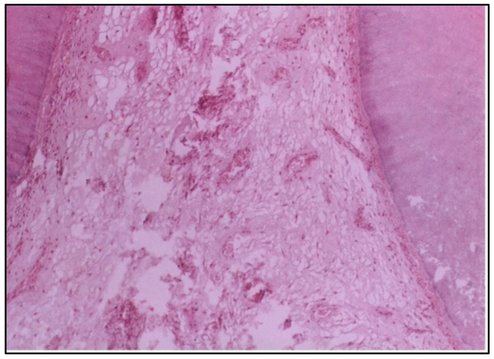 Dentistry 12 00343 g002