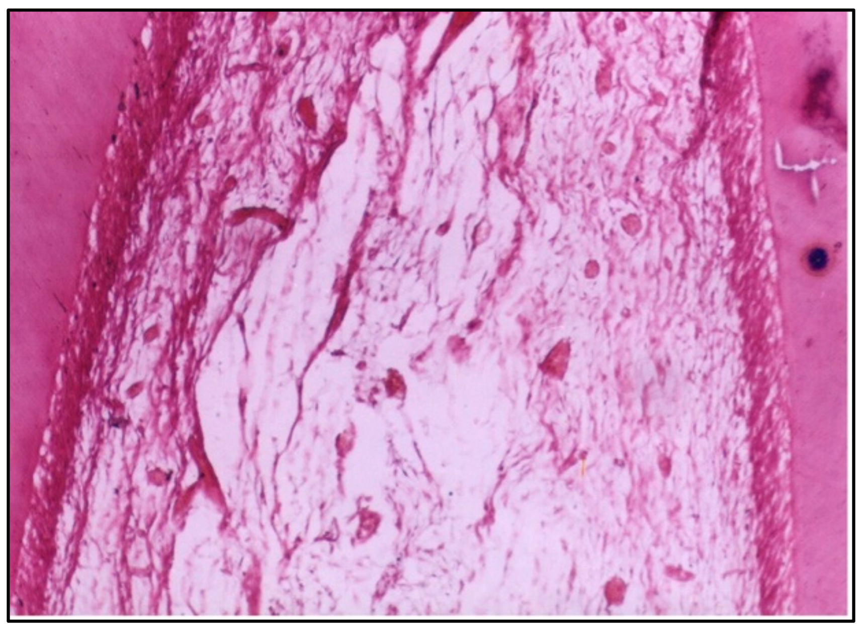 Dentistry 12 00343 g003