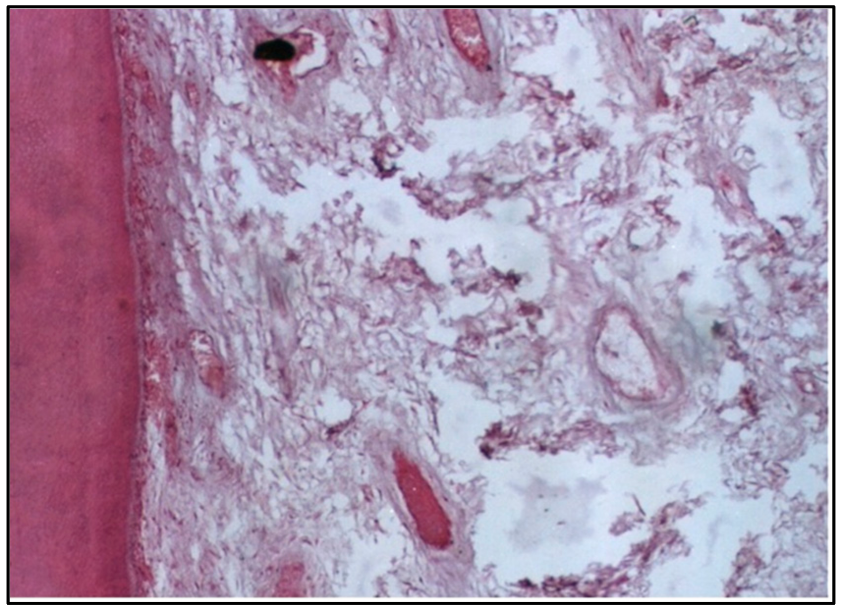 Dentistry 12 00343 g004