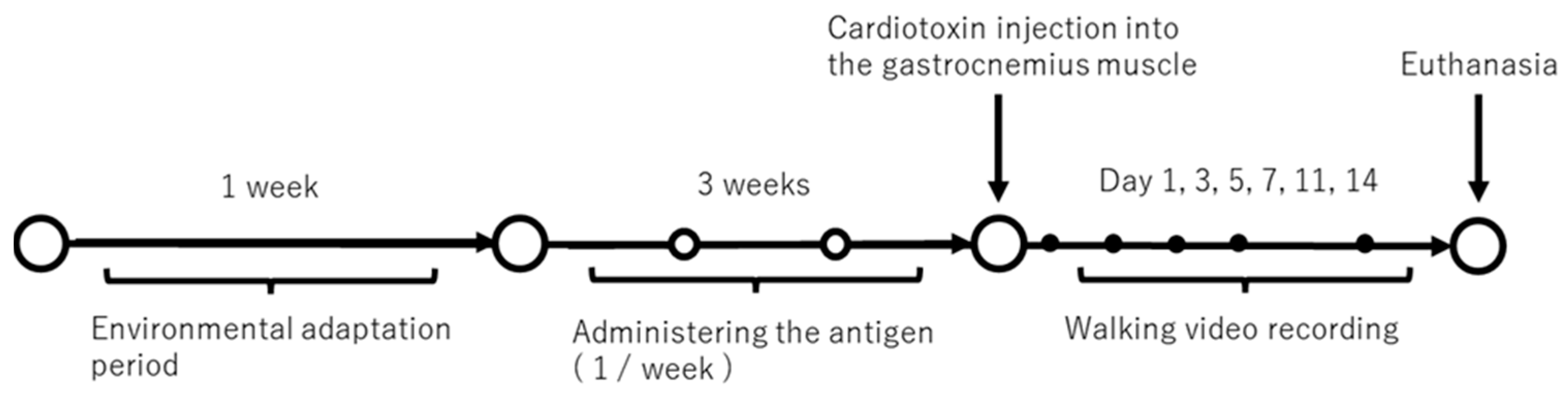 Dentistry 12 00346 g001