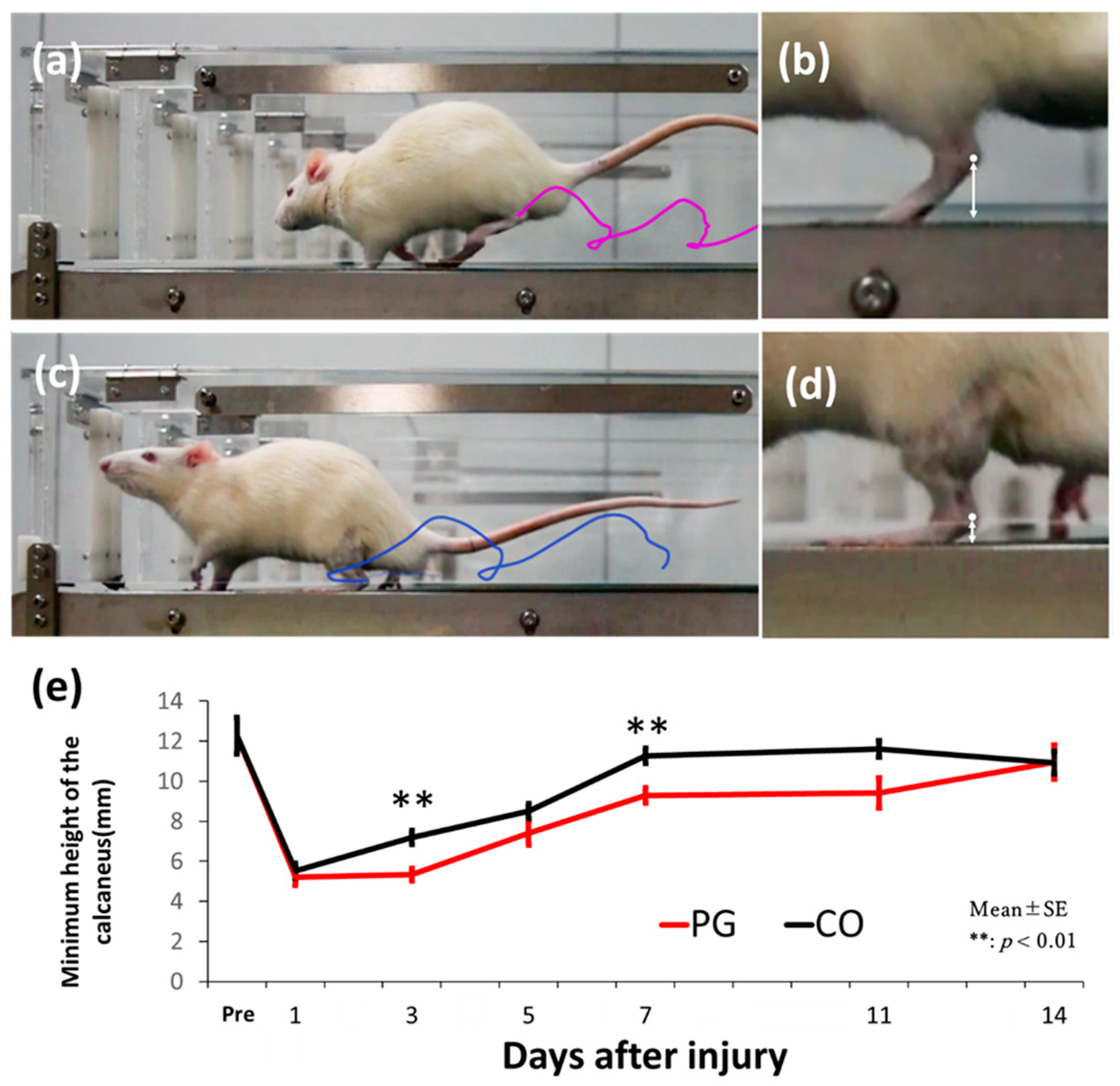 Dentistry 12 00346 g002
