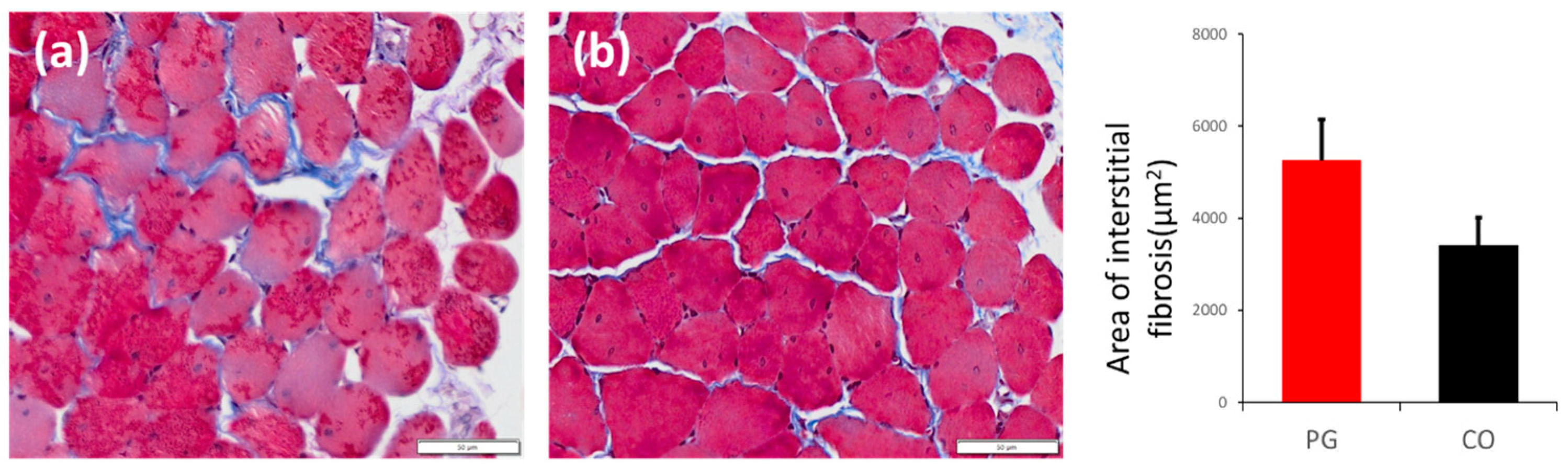 Dentistry 12 00346 g004