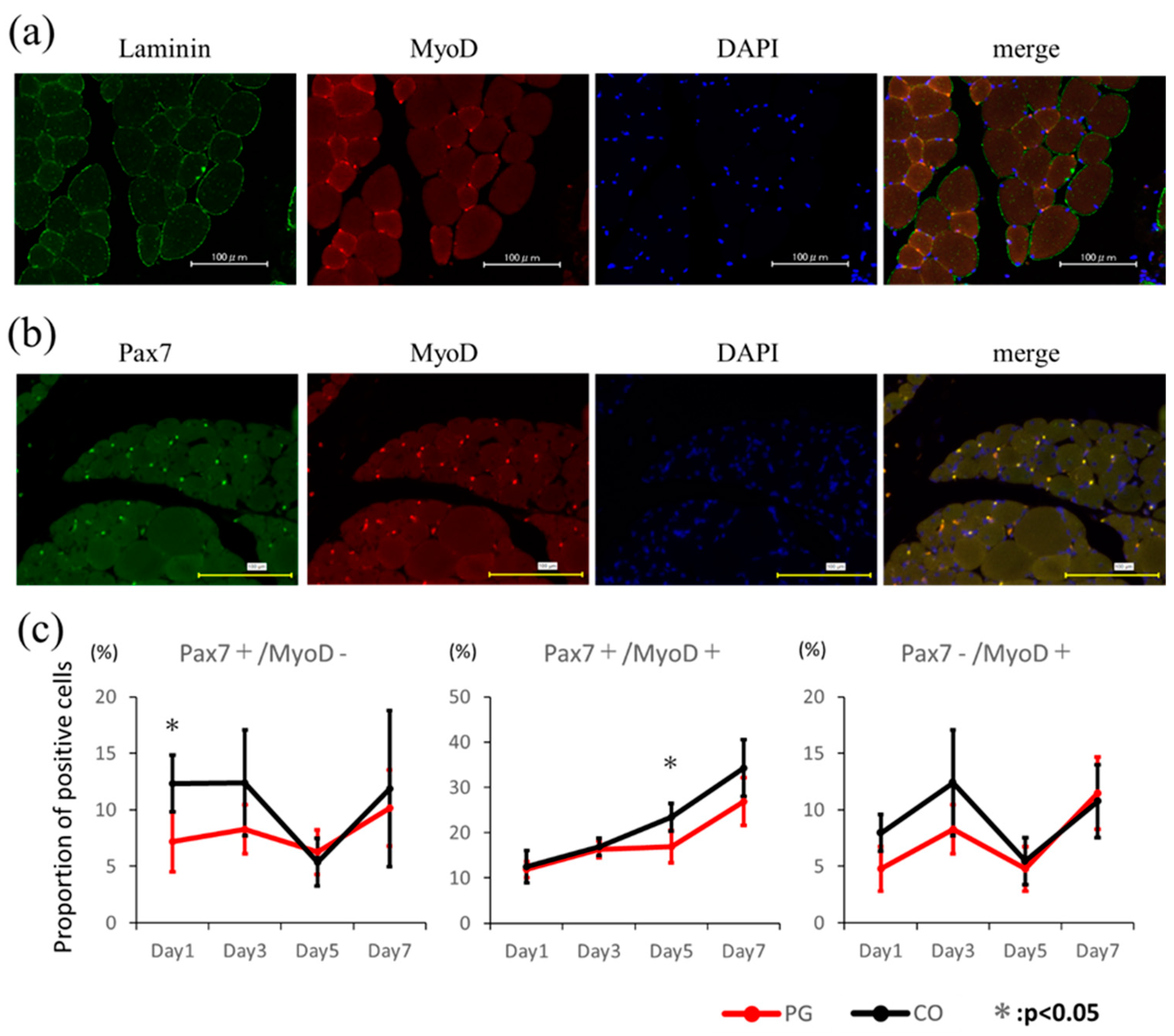 Dentistry 12 00346 g005