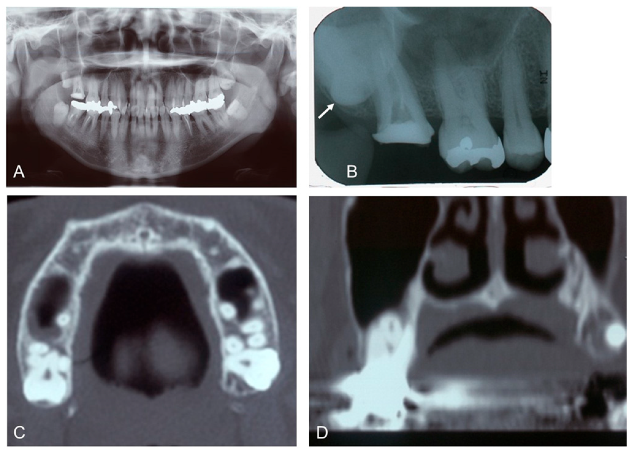 Dentistry 12 00348 g001