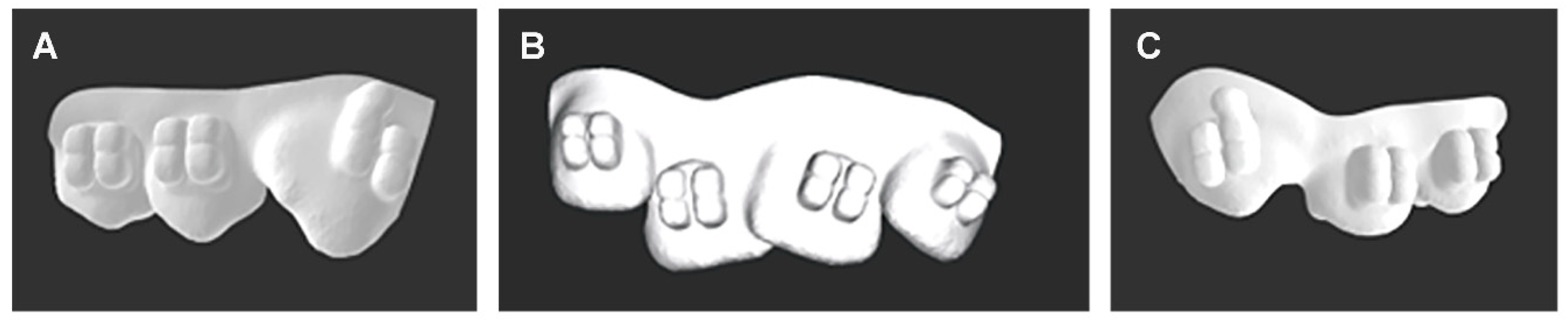 Dentistry 12 00352 g003