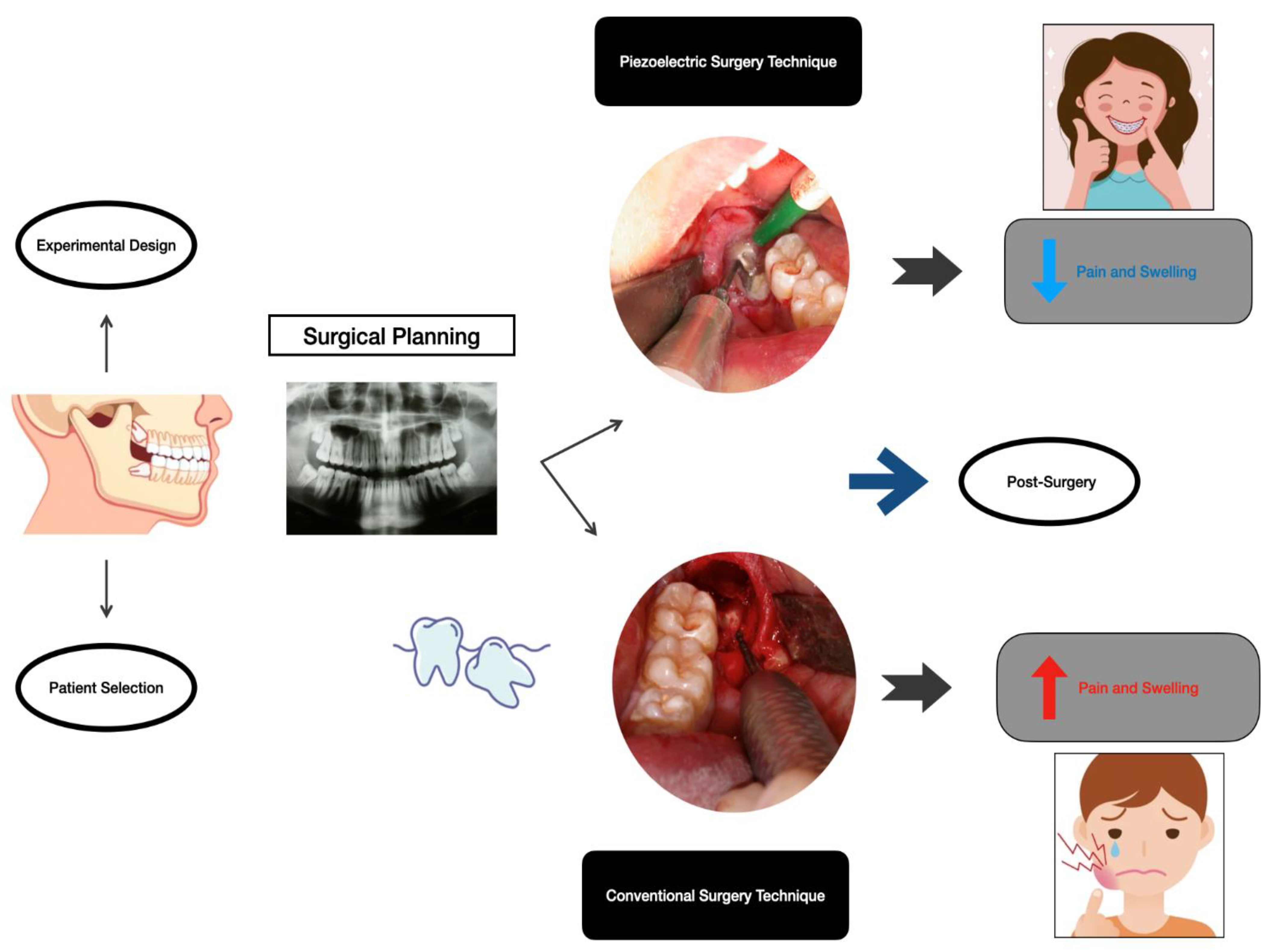 Dentistry 12 00353 g001