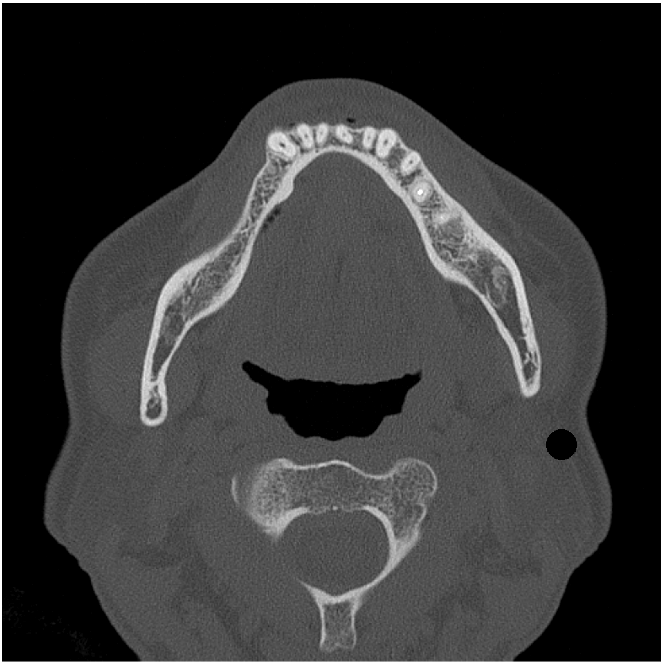 Dentistry 12 00358 g001
