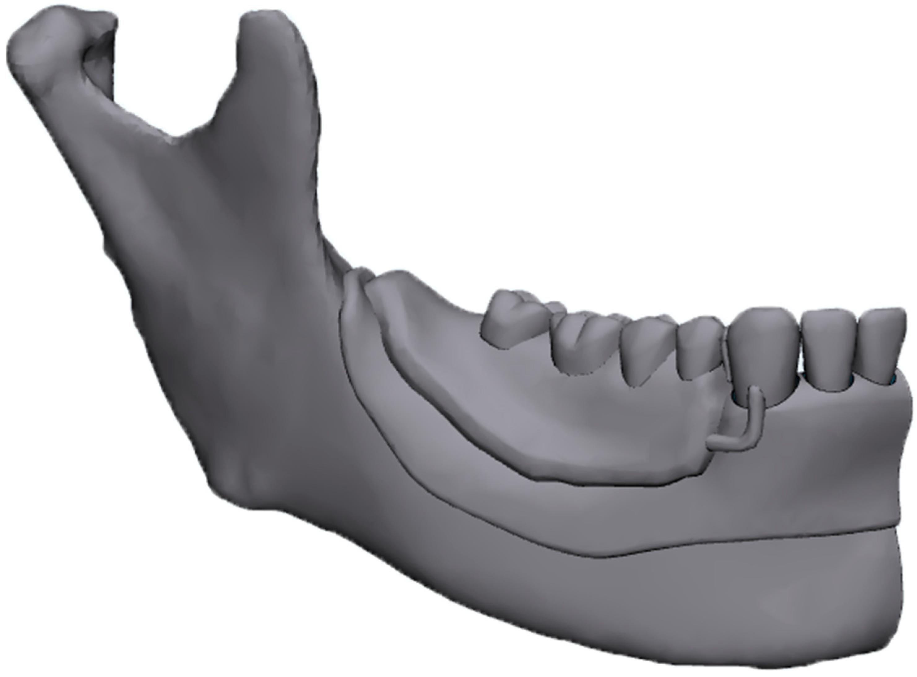 Dentistry 12 00358 g002