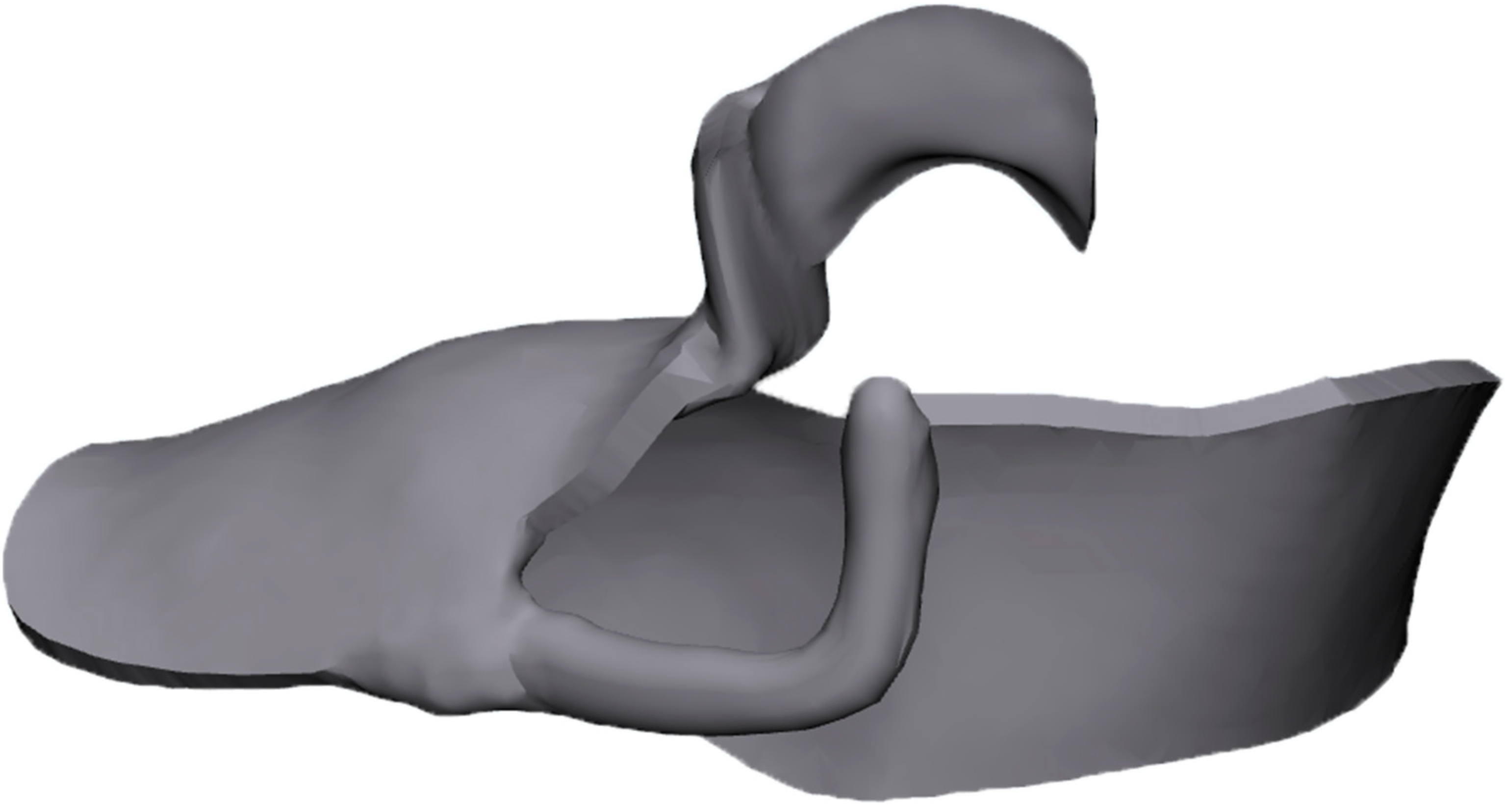 Dentistry 12 00358 g003